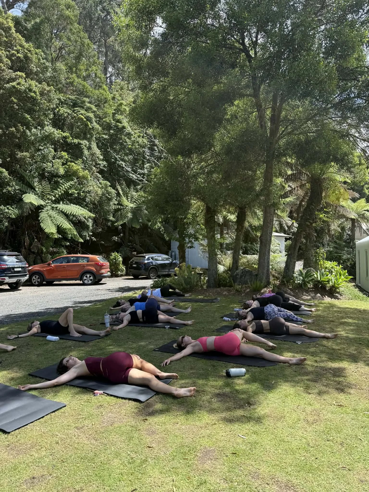 People practicing yoga outdoors on mats in a grassy area surrounded by trees and parked cars.