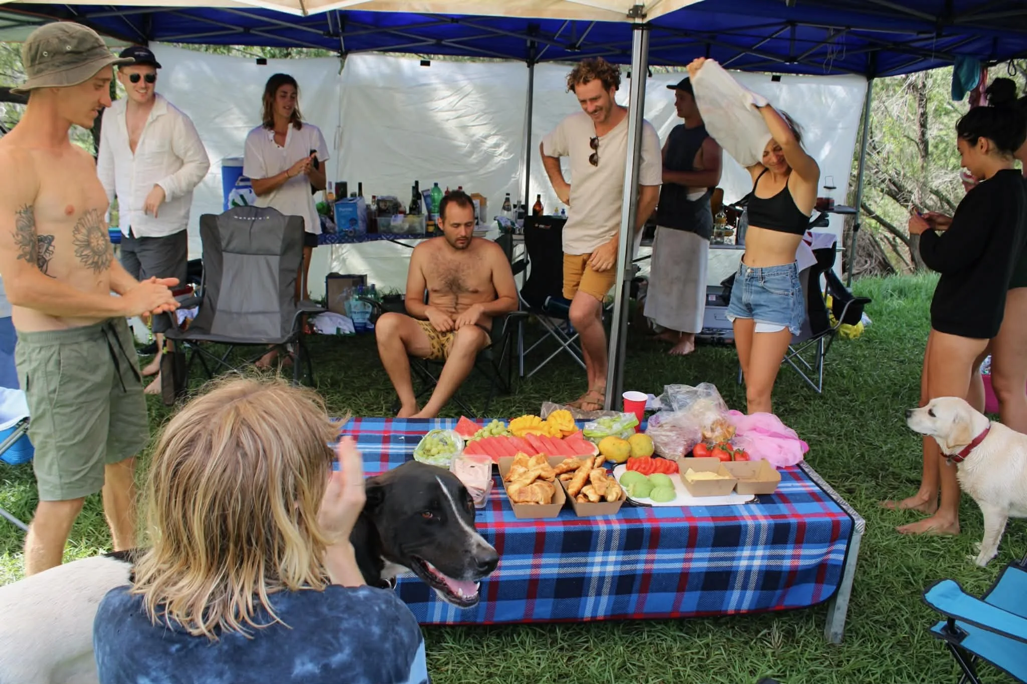 A group of friends at an outdoor gathering under a canopy, with some sitting or standing, and a table with food including watermelon, fruit, and snacks, accompanied by dogs.
