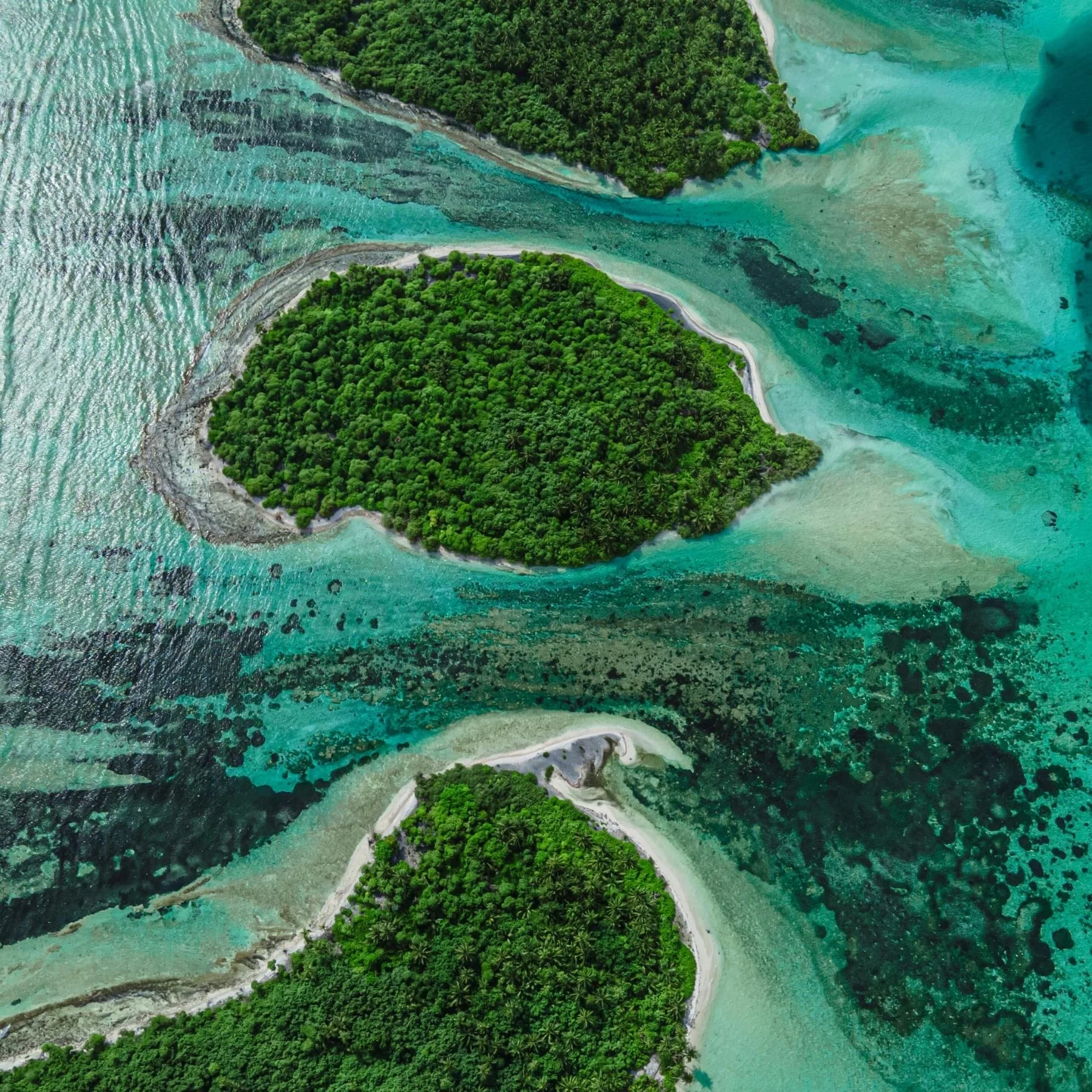 Contemporary Migration in Te Moana Nui (the Great Ocean)