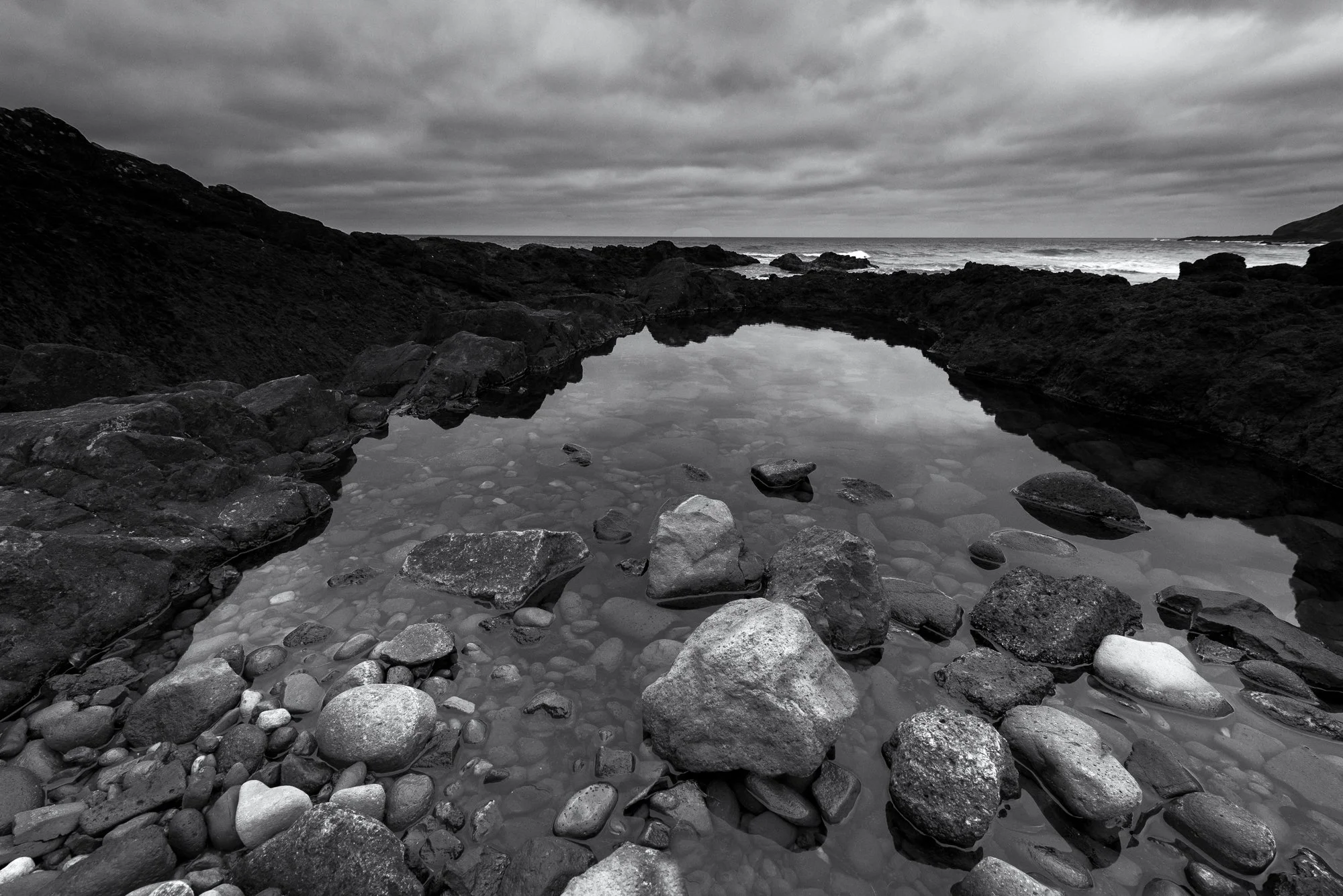 Wistful Winter new-4.jpg