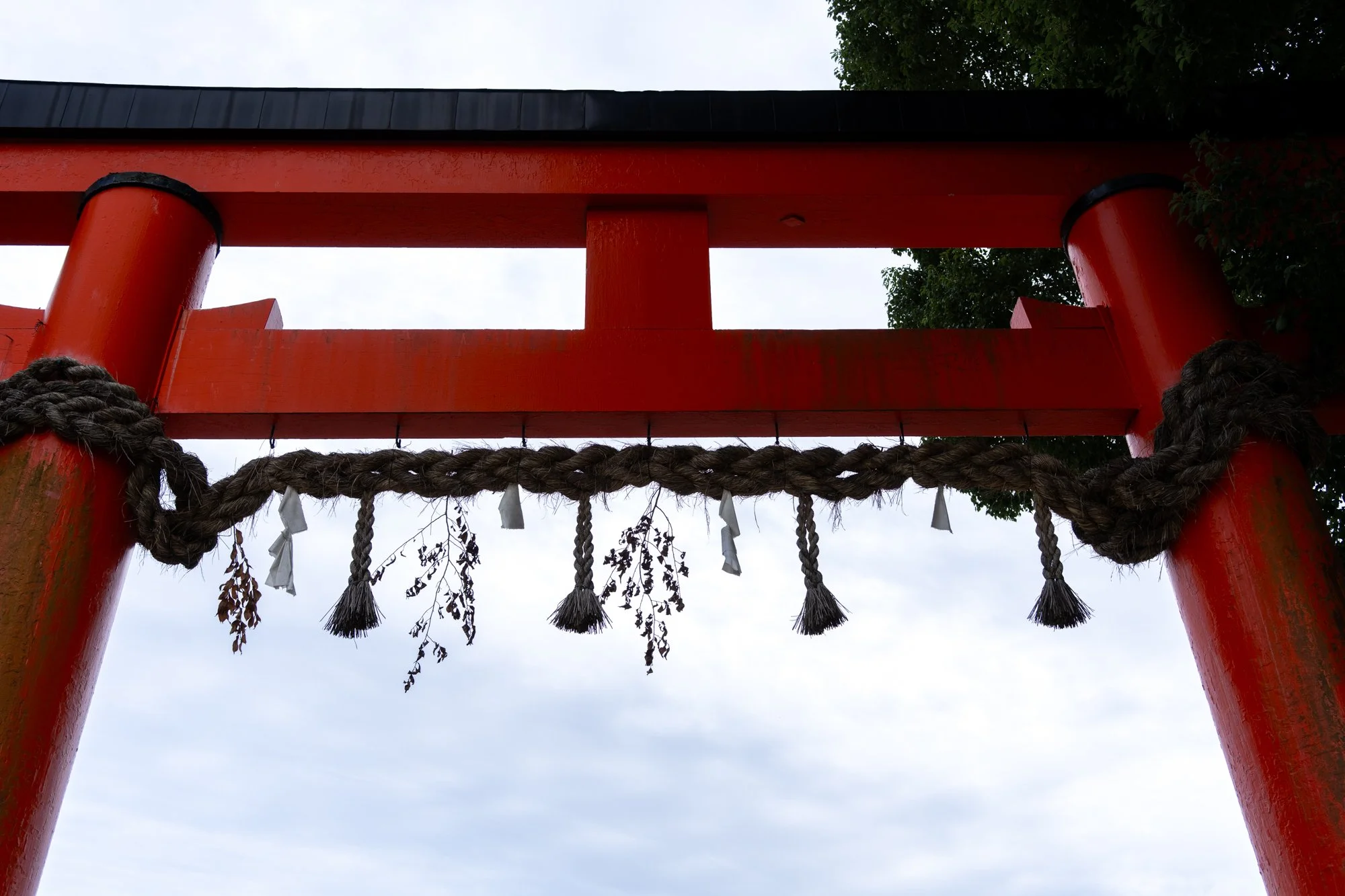 Kyoto additional-57.jpg