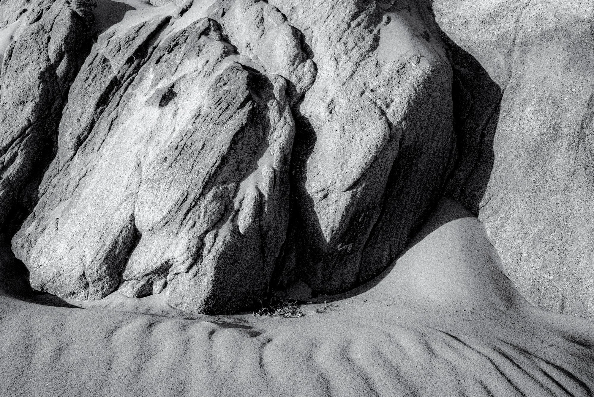 Wistful Winter new-2.jpg