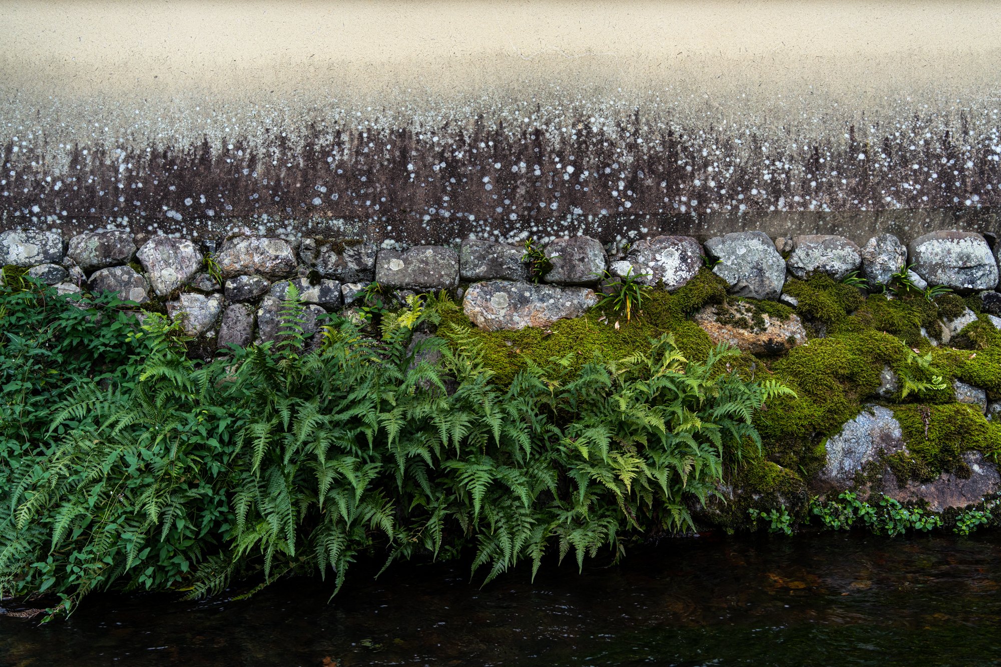 Kyoto additional-55.jpg