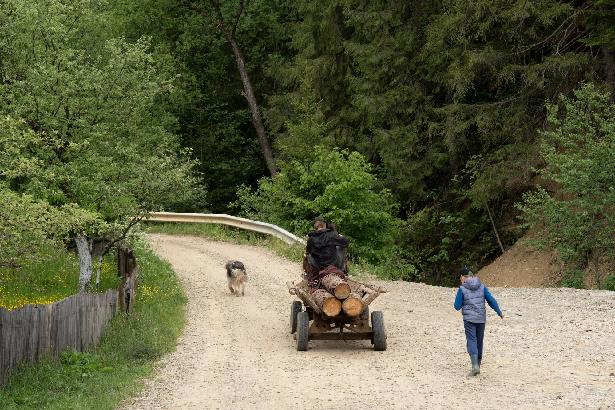 Romanian Heartland new-13.jpg