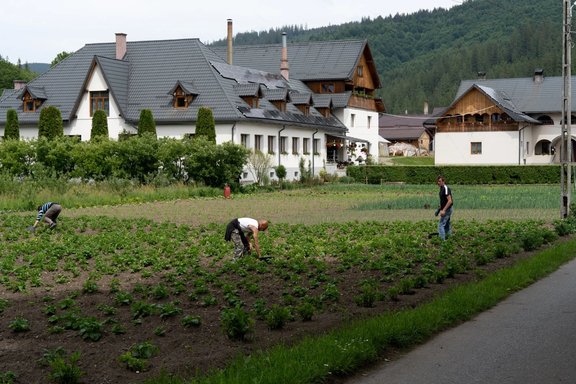 Romanian Heartland new-12.jpg