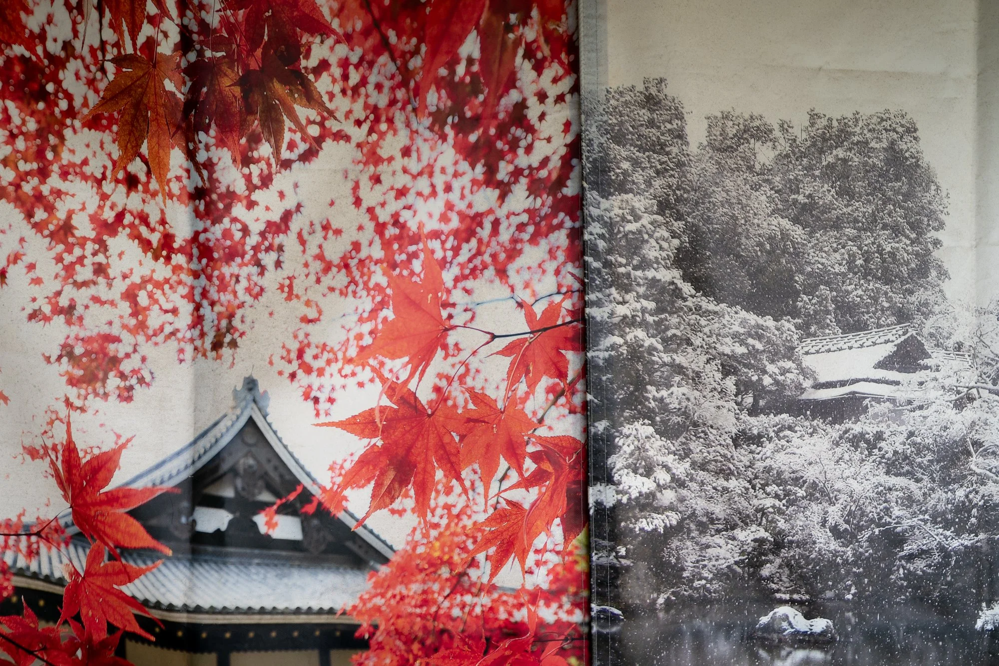 Kyoto additional-58.jpg