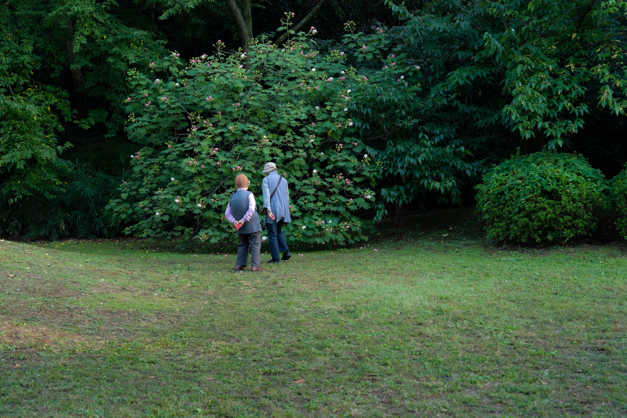 Harmony & Grace retake couple in garden Tokyo.jpg