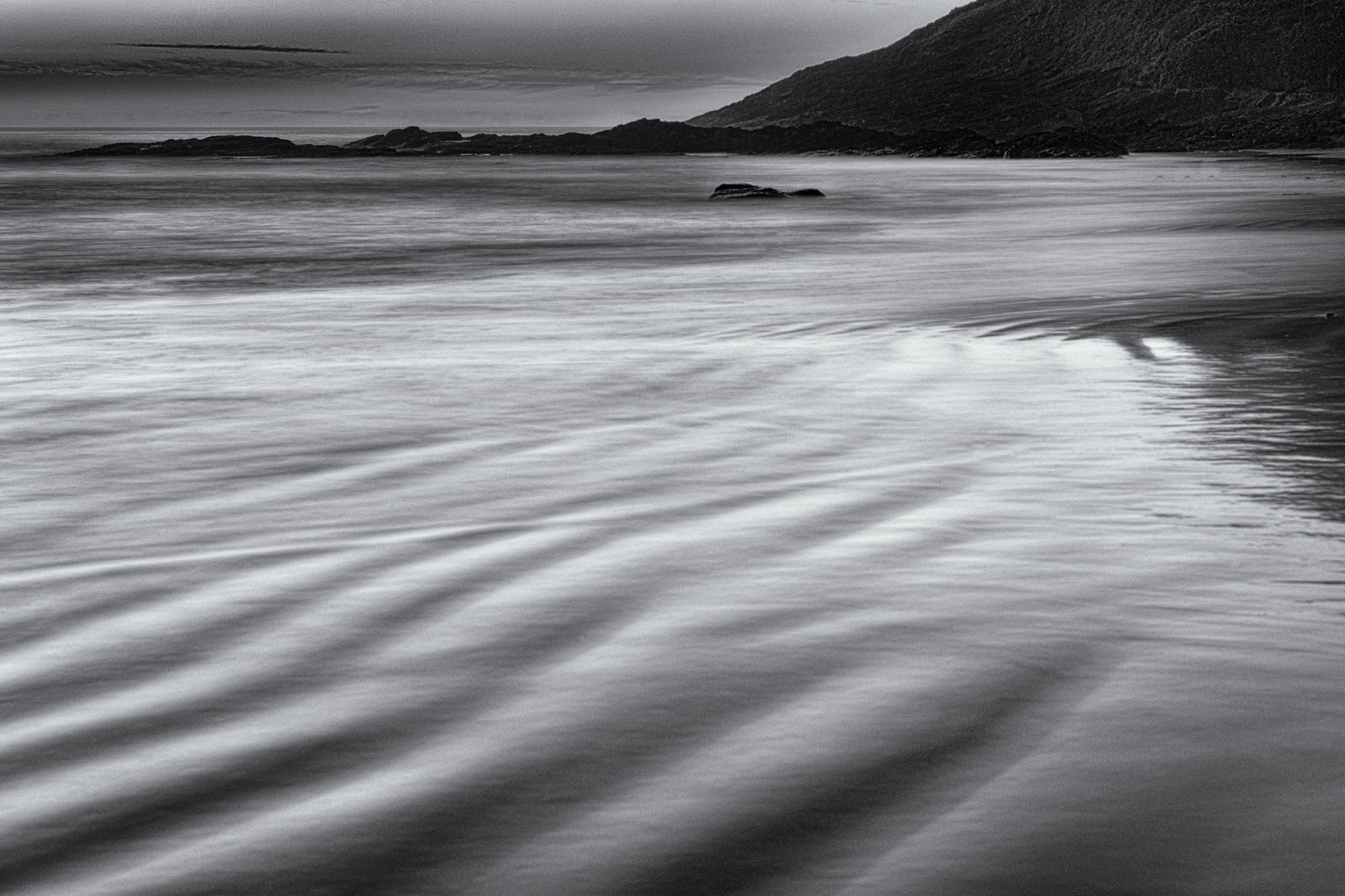 Wistful Winter new-1.jpg