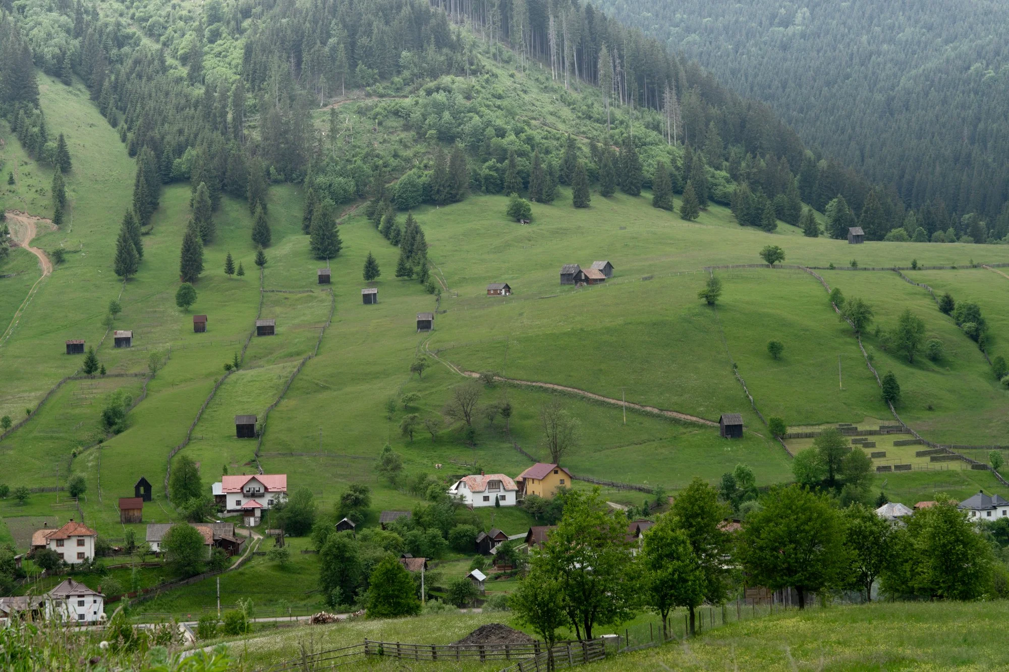 Romanian Heartland new-11.jpg