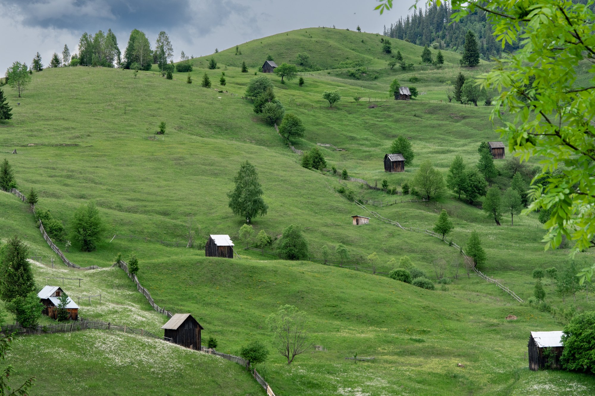 Romanian Heartland new-9.jpg