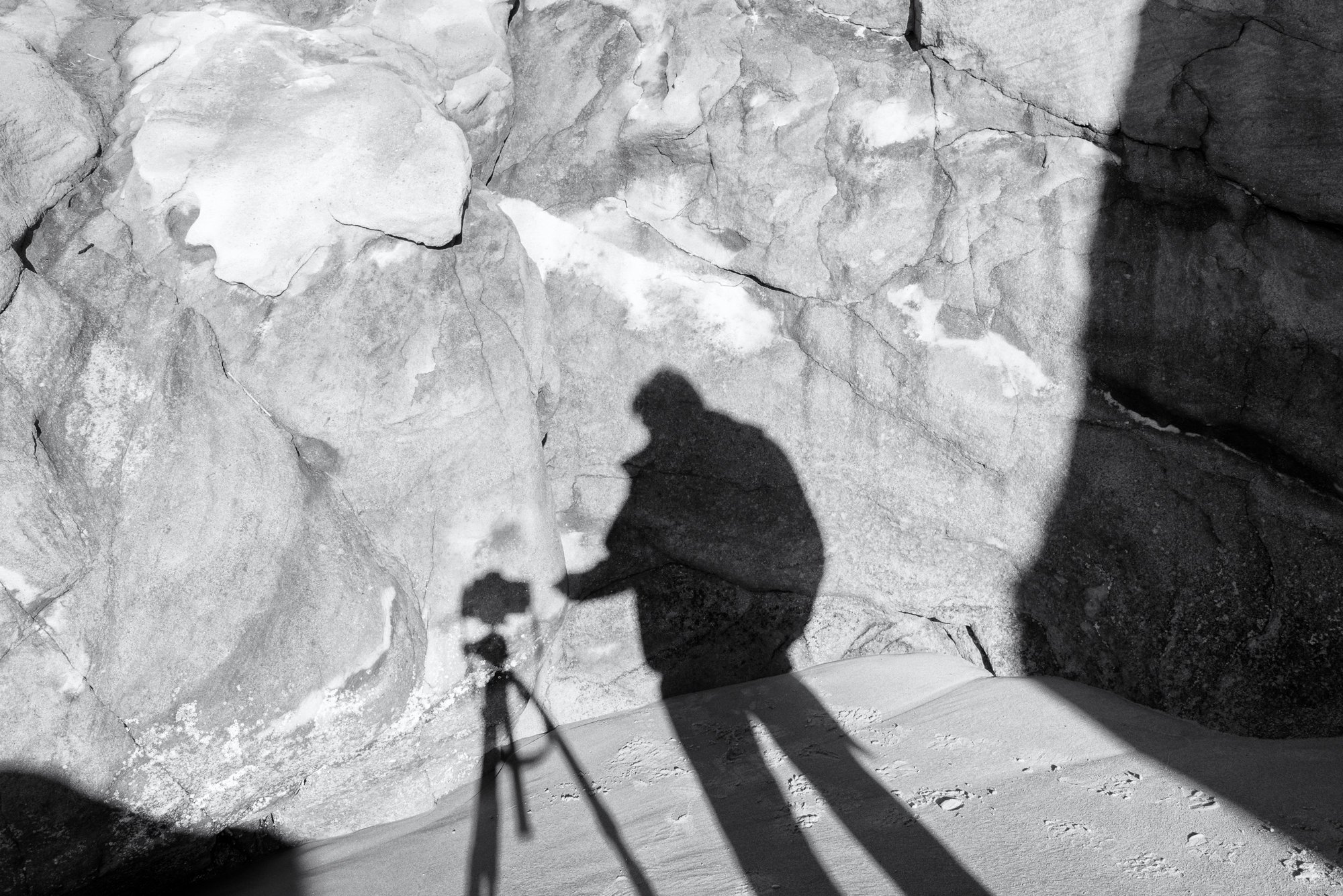 Wistful Winter new-3.jpg