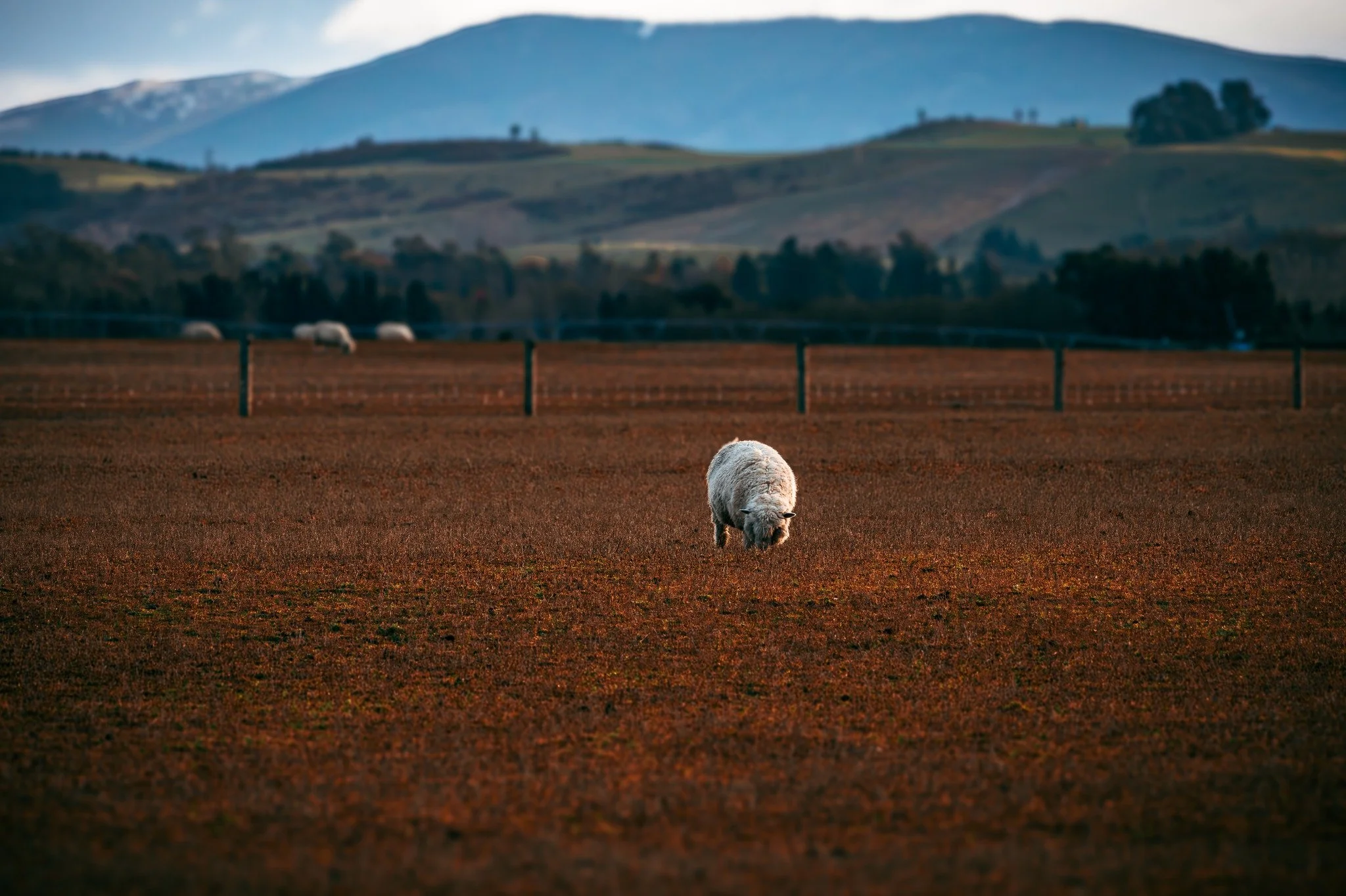 Just sharing with you some more of what I see, feel free to share it and show others what you like, they might like it too, or find something they'd like in print. Anything I've posted (or haven't 🤭) prints or canvas can be arranged on request.