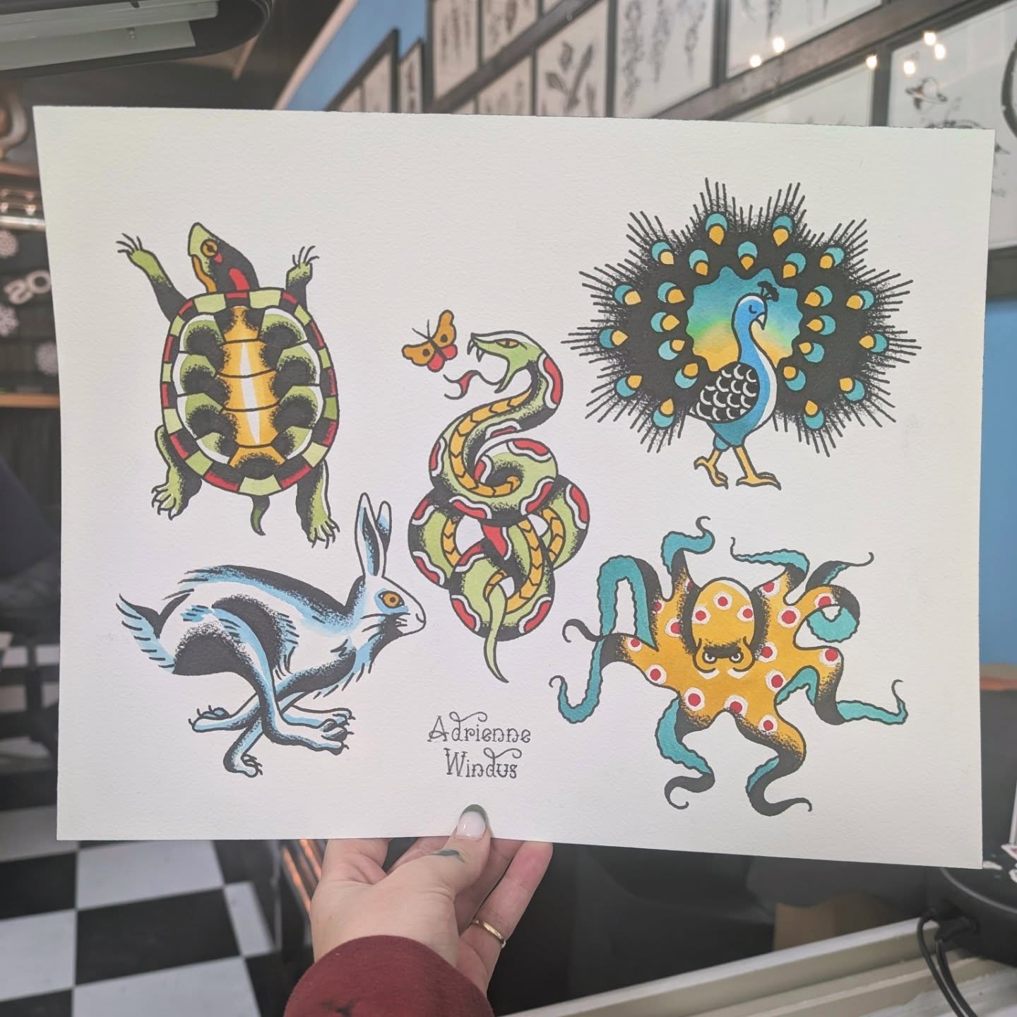 If you're cold they're cold, adopt one of these poor lonely flash pets this holiday season by DMing me! 🐢 🐙 🐍 🐇 🦚 
.
.
#traditionaltattoo #tattoodesign #tattoo #trad #traditionalflash
