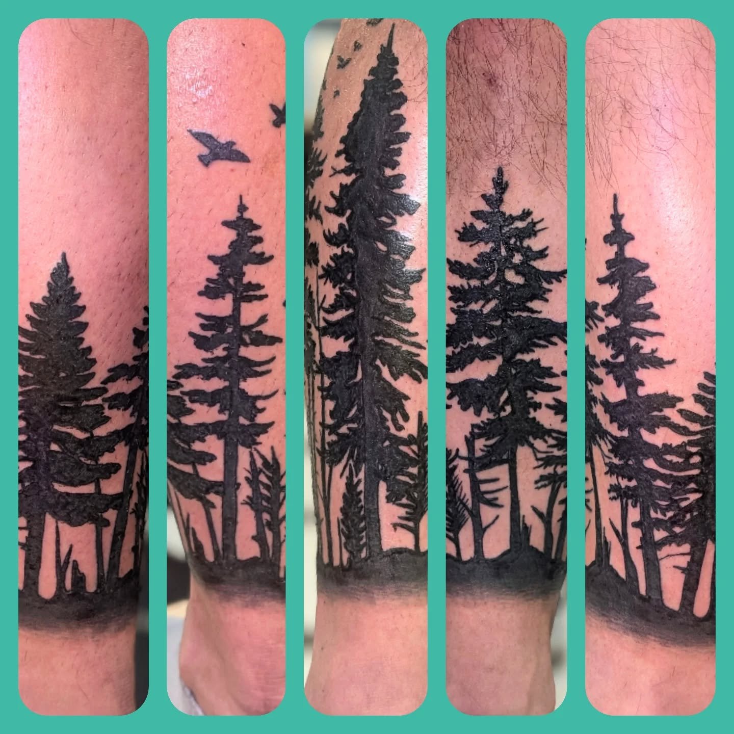 Wrap around leg trees 🌲🌲🌲
.
.
#traditionaltattoo #tattoodesign #tattoo #trad #traditionalflash