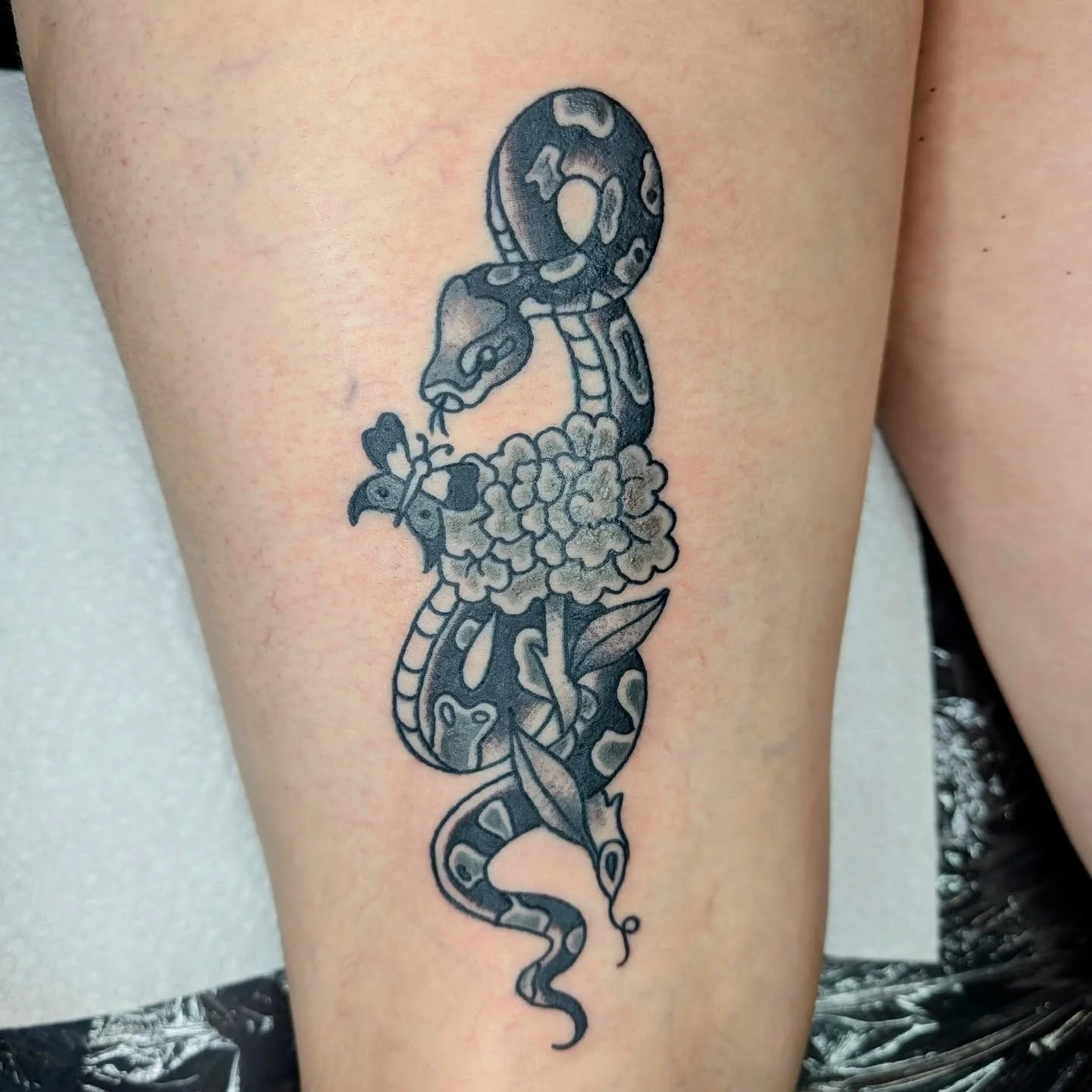 Modified some flash to look like my client's pet ball python! She turned out so cute 🐍🪻🦋 
.
.
.
#traditionaltattoo #tattoodesign #tattoo #trad #traditionalflash