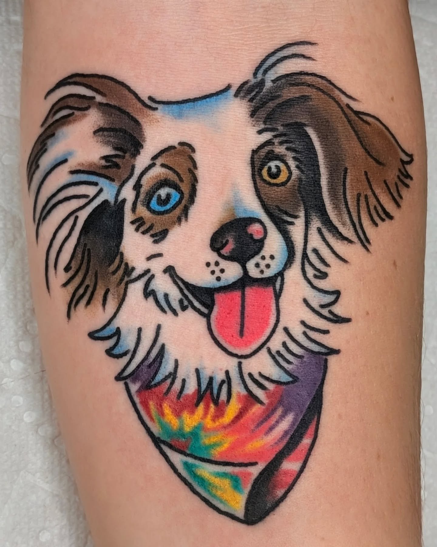 Puppy portrait! This was so much fun to do and she was such a good girl!
.
.
#traditionaltattoo #tattoodesign #tattoo #trad #traditionalflash