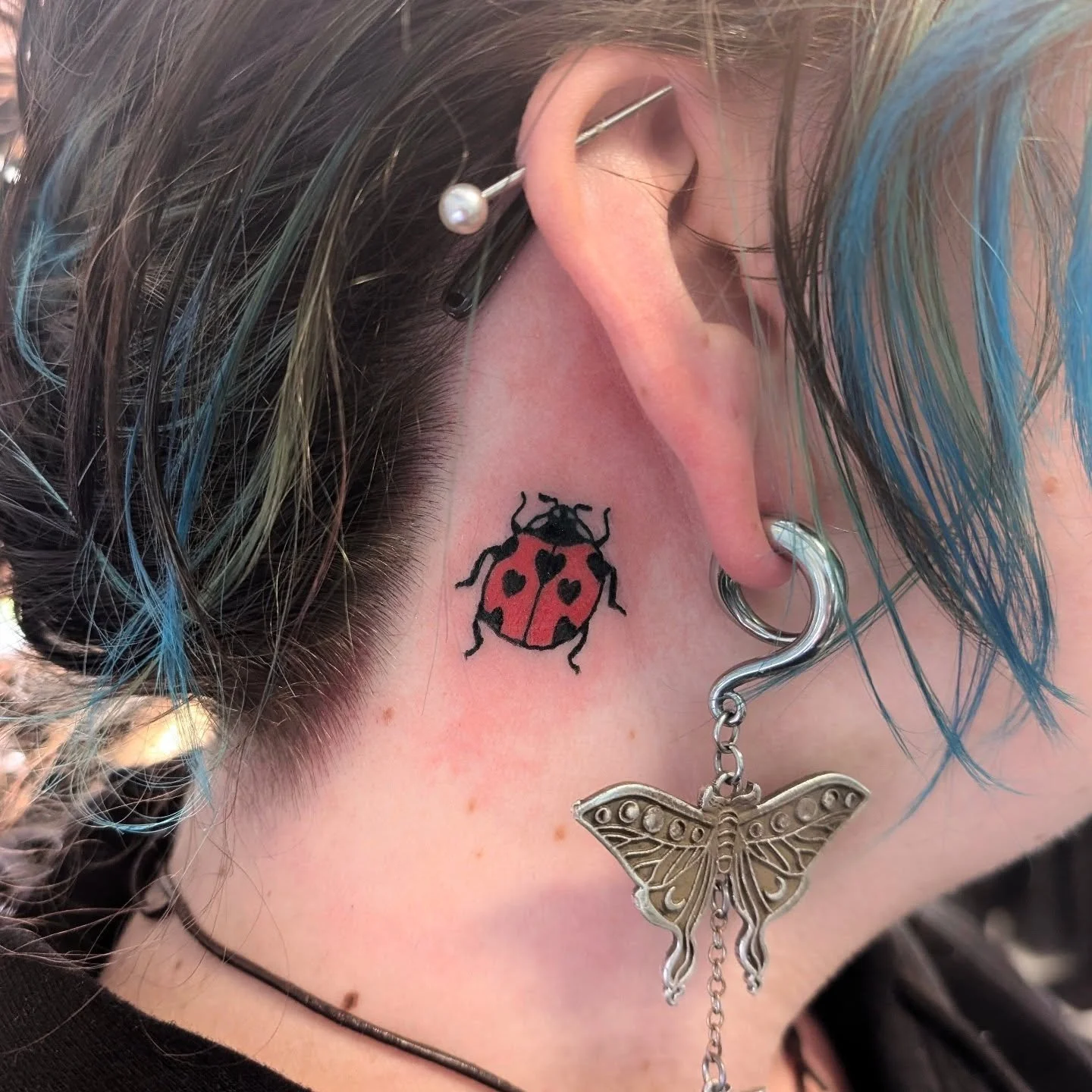 A little friend to whisper secrets in your ear 🐞 
.
.
#traditionaltattoo #tattoodesign #tattoo #trad #traditionalflash