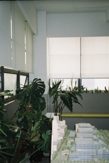 6DB22812-70B1-440B-ACE0-B7EFC950AB46_4_5005_c.jpeg