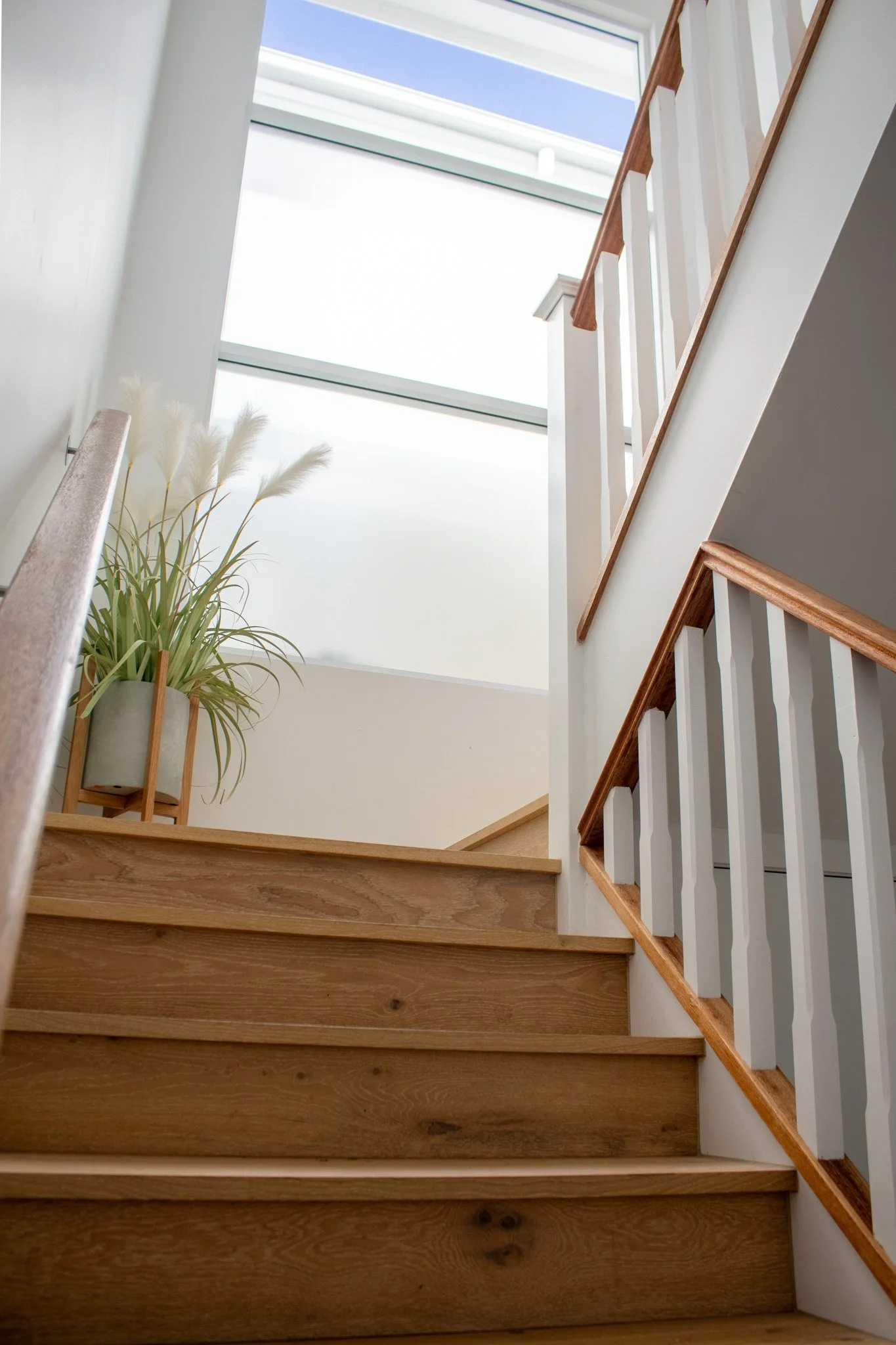 Interior view of a staircase with wooden steps, white and grey walls, wooden handrail, white balusters, a potted plant on top of the stairs, and large windows providing natural light.