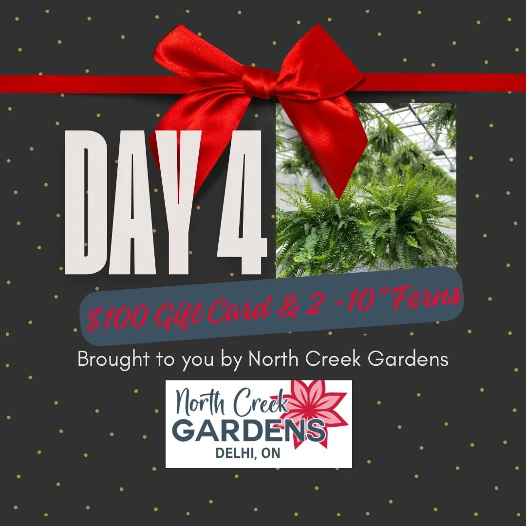 Welcome to Day 4 of our Christmas Giveaway brought to you by 
🌸North Creek Gardens 🌸

North Creek Gardens is located just outside of Delhi and is open from the last weekend in April until Thanksgiving weekend. They carry a large selection of annual