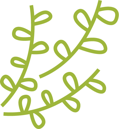 Asset 28.png