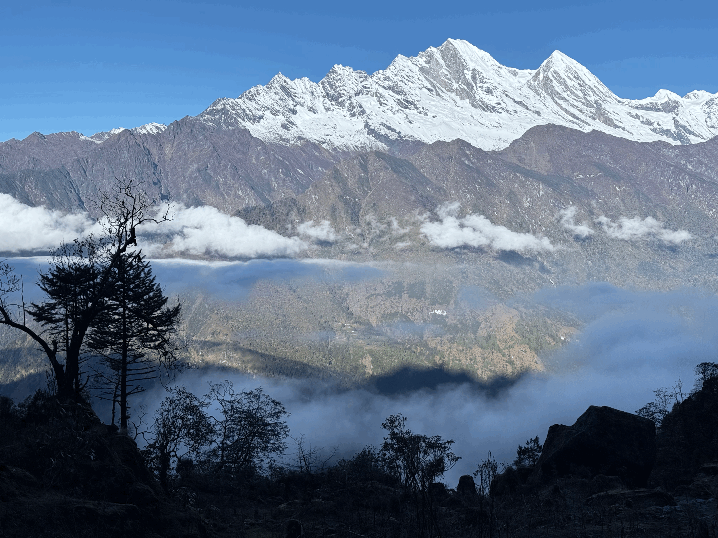 ✨ The Not-So-Glamorous Side of a Beautiful Life