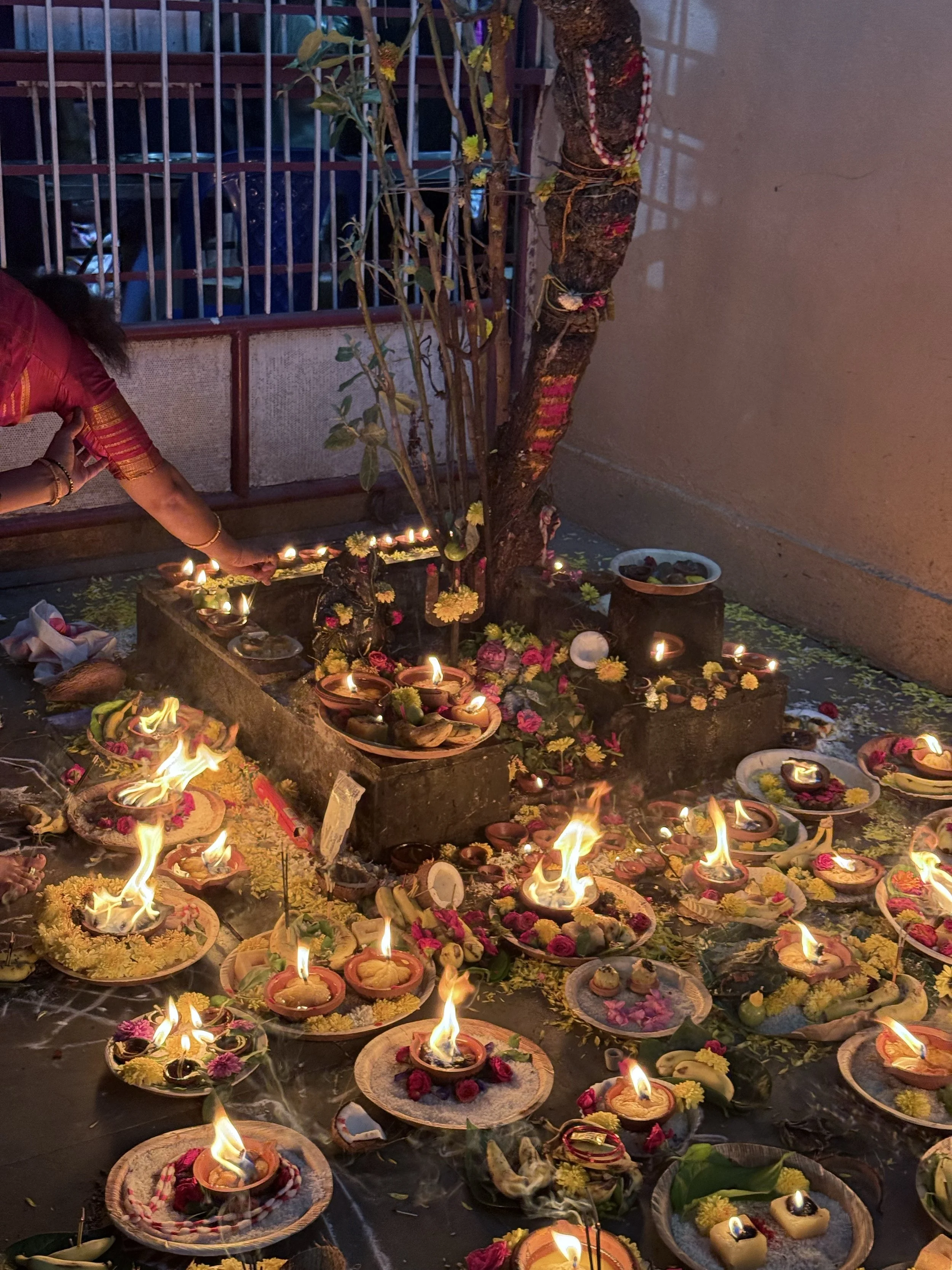 India, Adaptation, and the Beauty of Staying Open