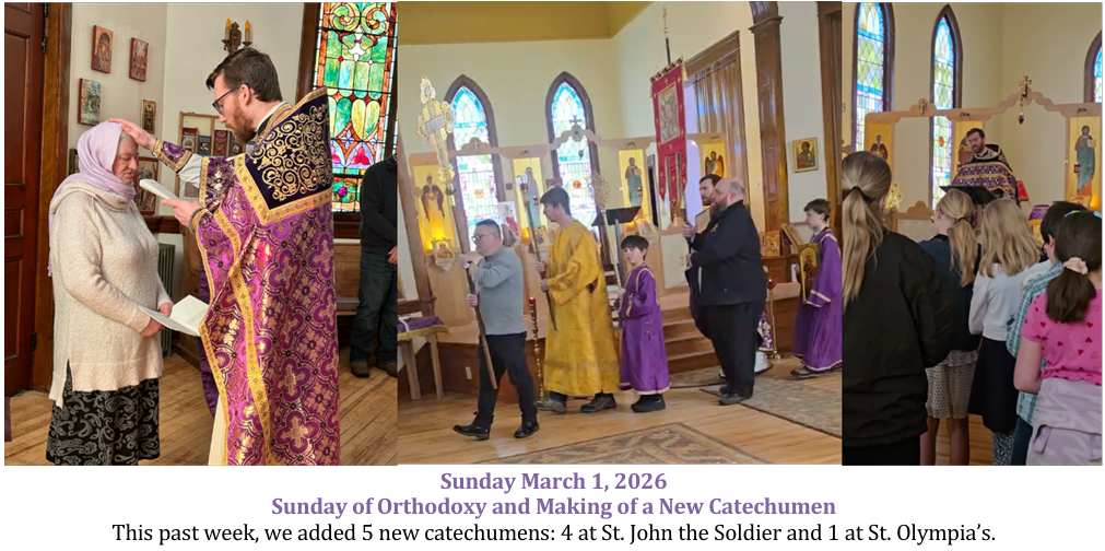 Screenshot 2026-03-03 202647.png