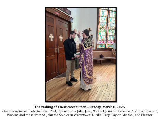 Screenshot 2026-03-10 181833.png