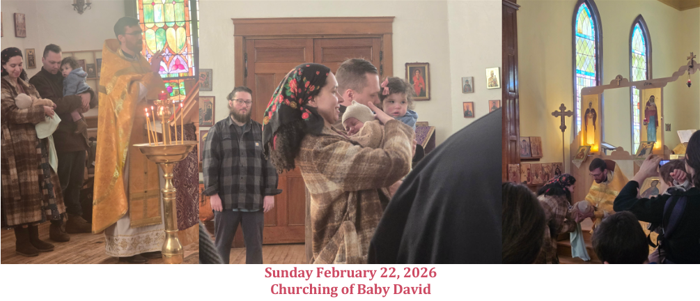 Screenshot 2026-03-03 202635.png