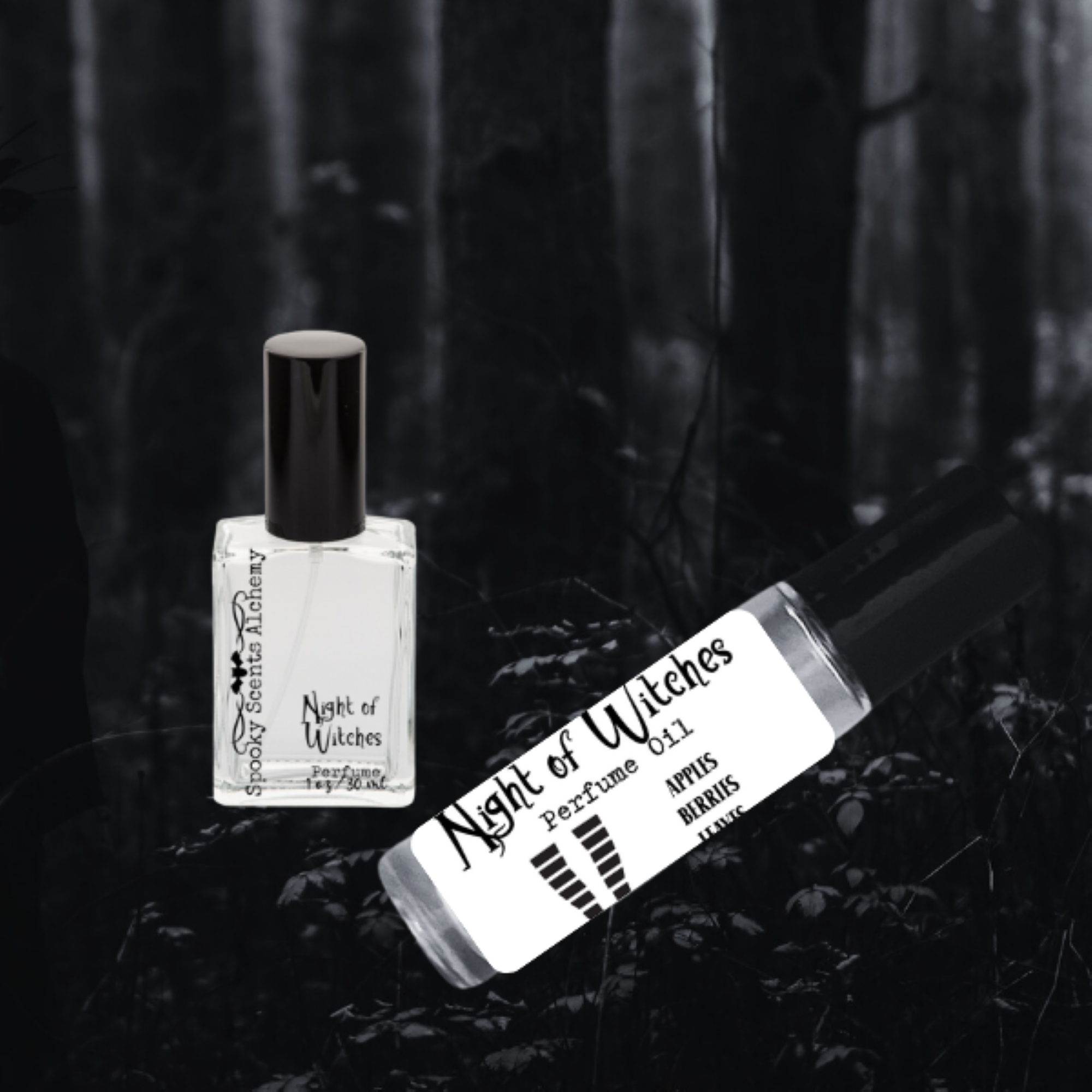 Night of Witches 1.png