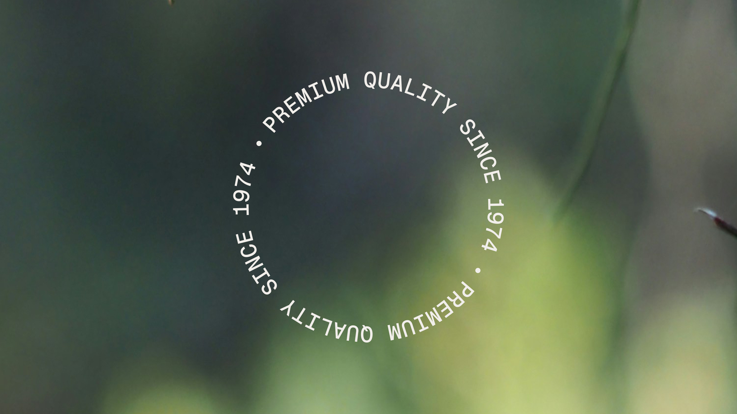 circular.png
