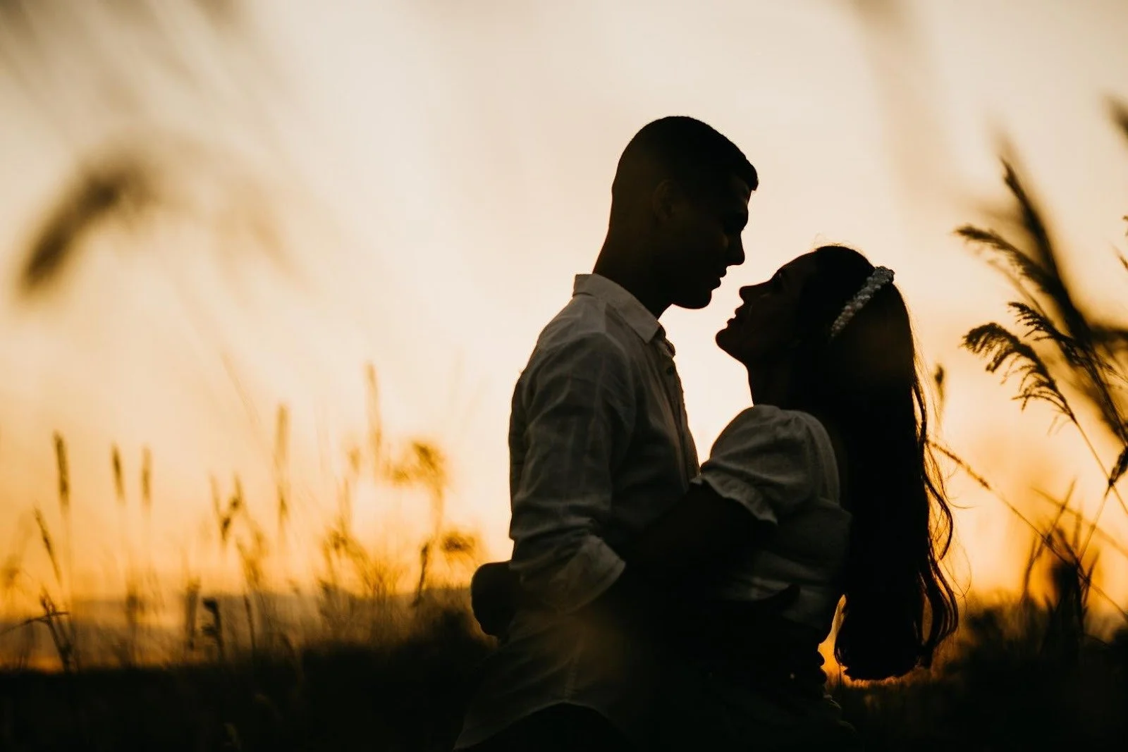 Silhouette of a couple embracing during sunset in a field of tall grass.