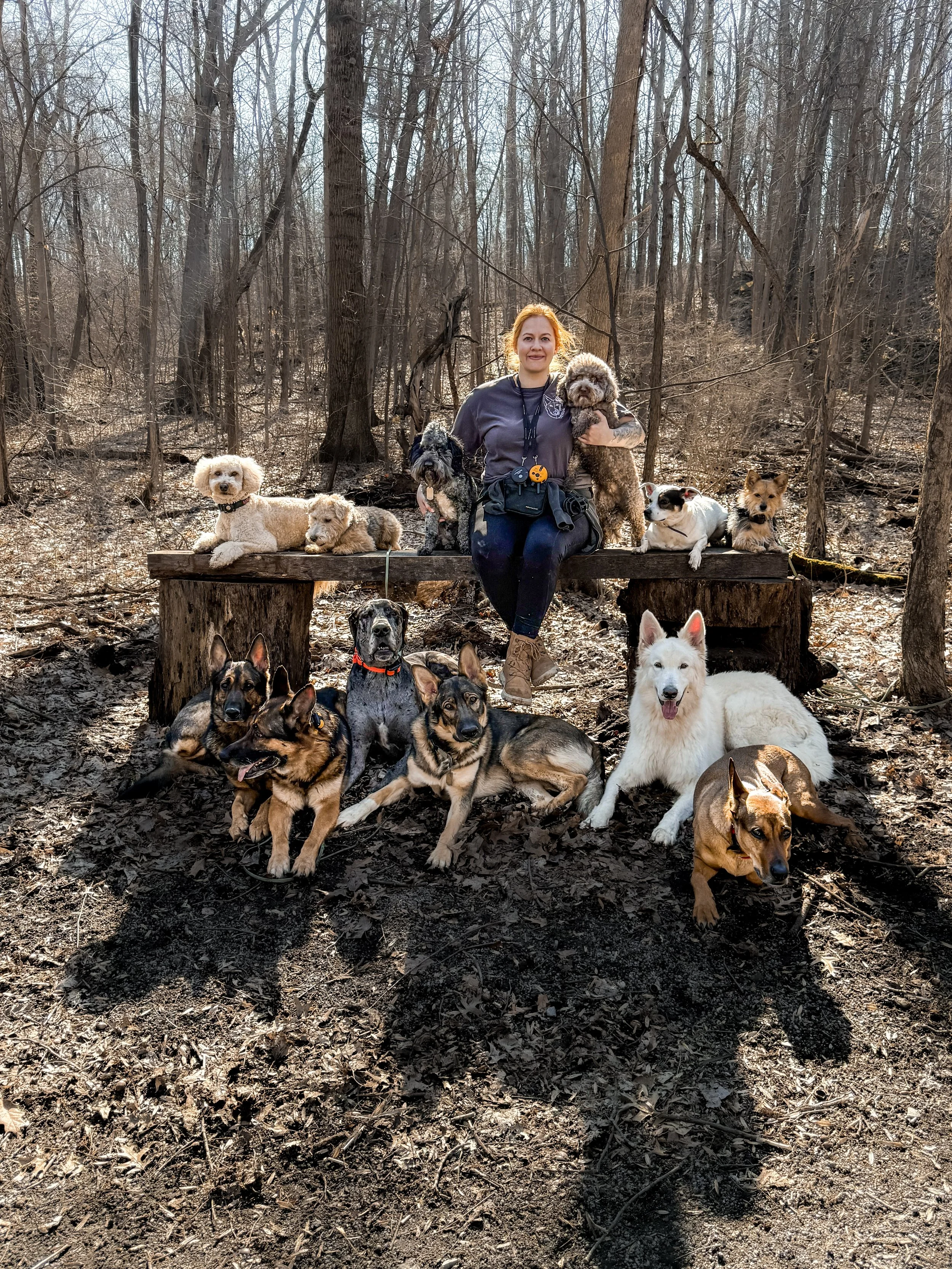 Christa surrounded by twelve off leash dogs for a fun pack day and all dogs are fully ecollar trained in Cleveland, OH