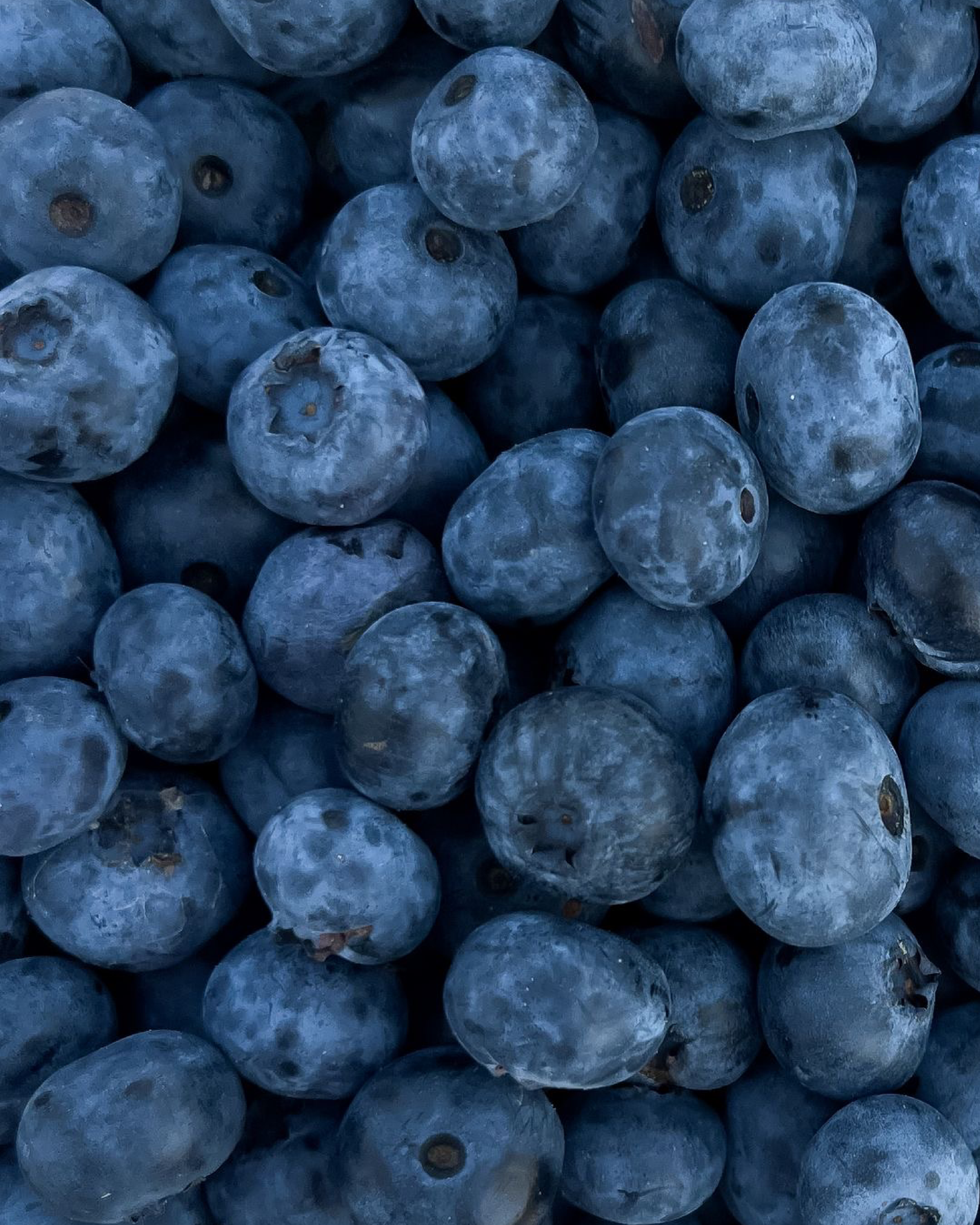 Wellness-Coded Foods &amp; Products That Have Become Our Staples