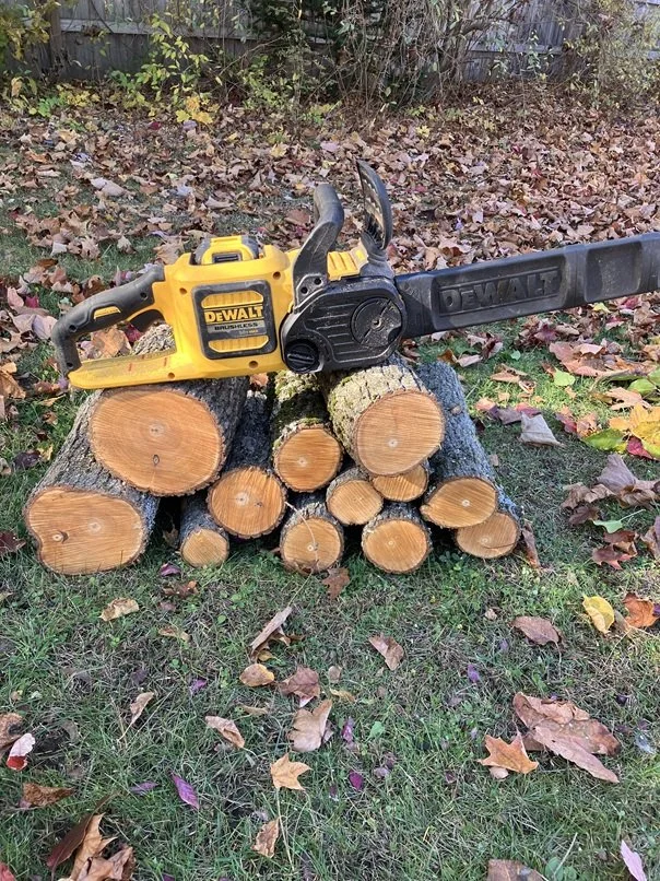 A yellow chainsaw resting on a stack of freshly cut logs, surrounded by fallen autumn leaves on grass.