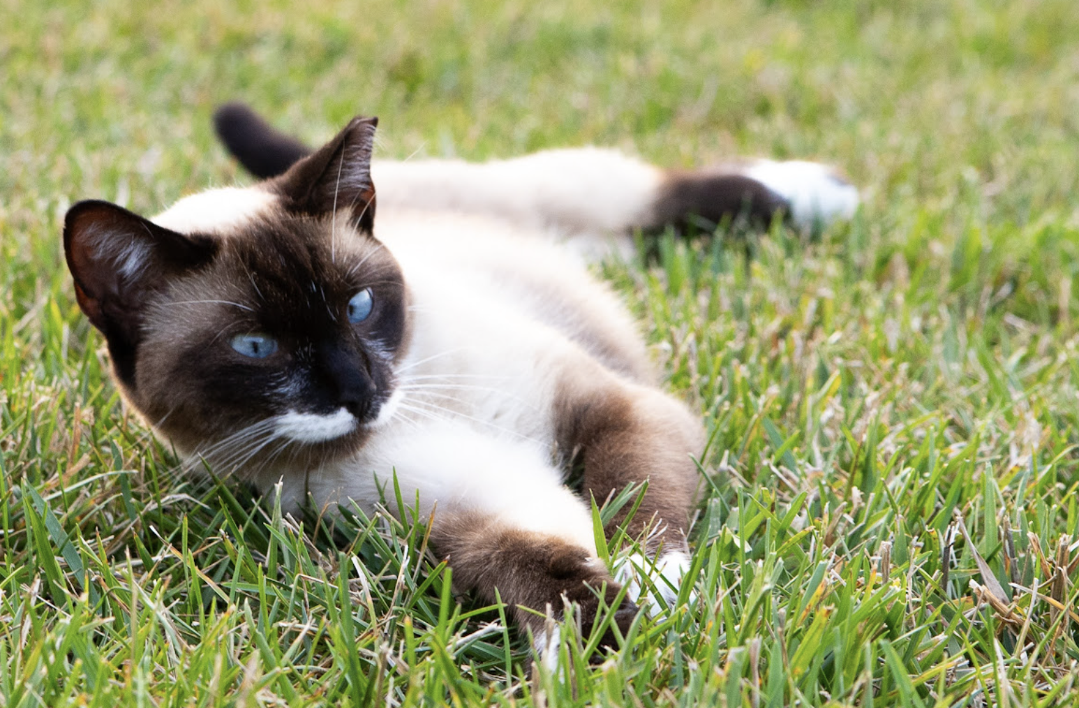 Screenshot 2026-02-26 at 9.23.08 PM.png