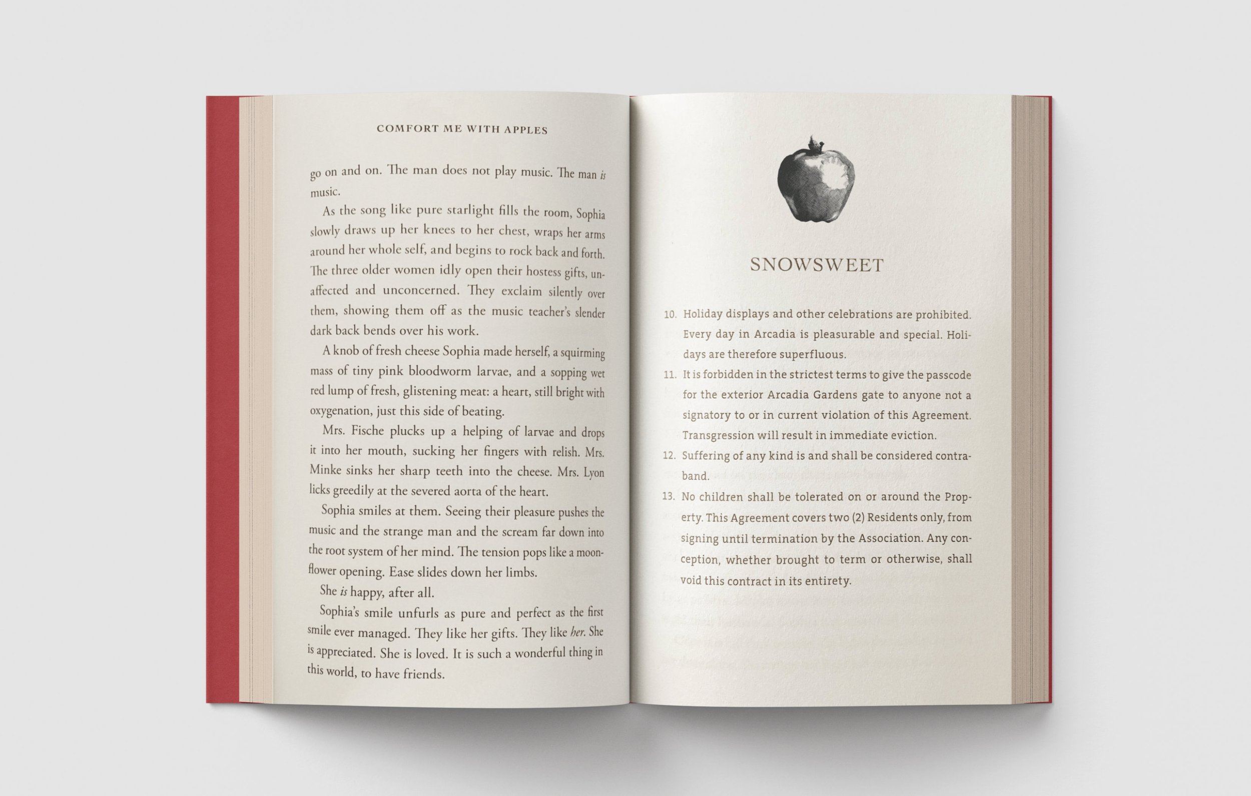 comfortmewithapples_mockup1.jpg