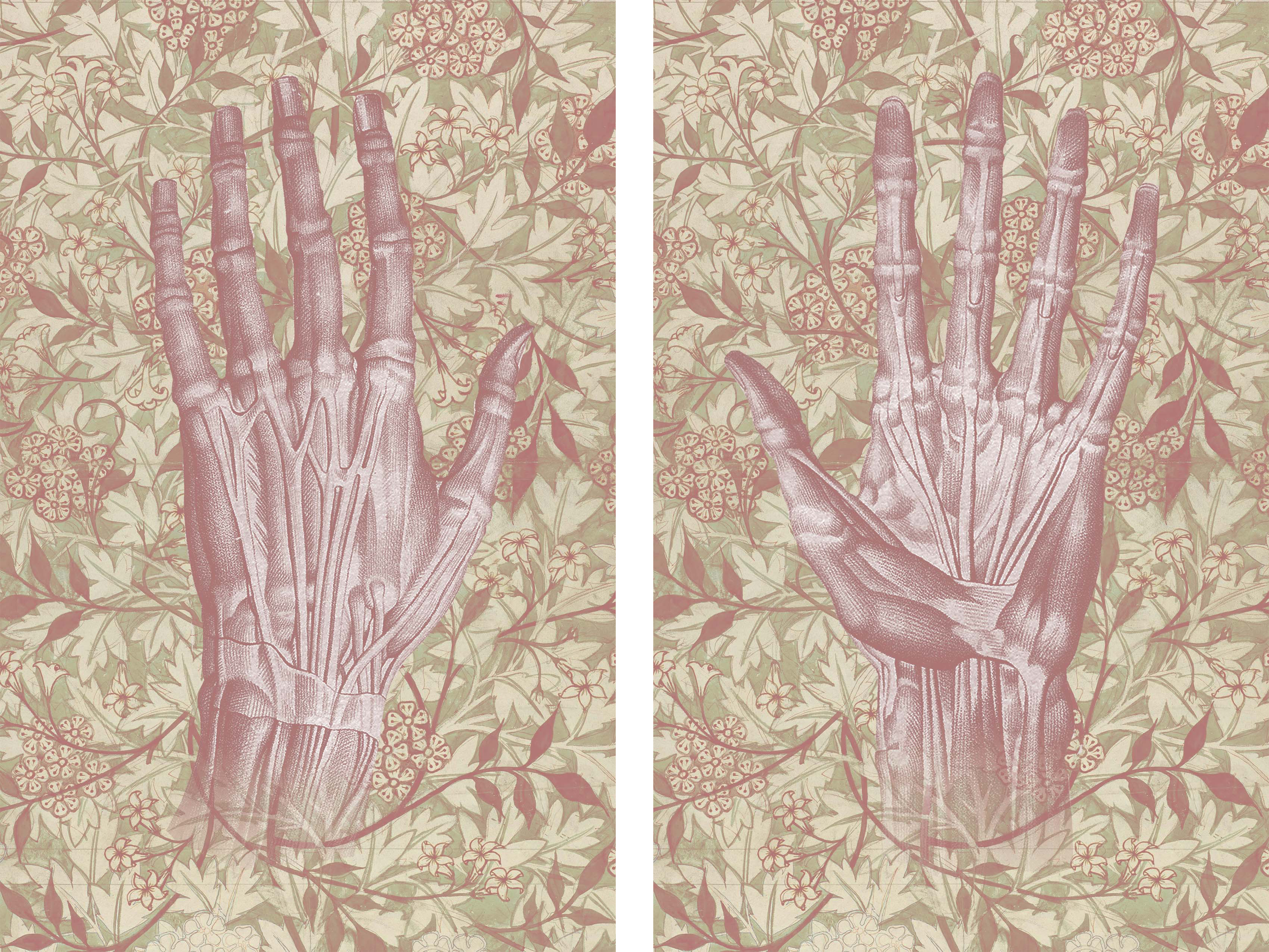  Front cover endpapers 