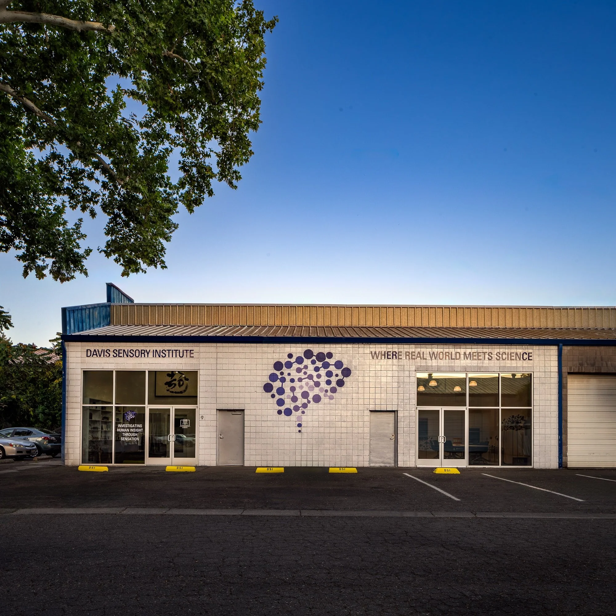 On the ground level, connected, multifunctional spaces house waiting and meeting areas for consultations, interviews, and focus groups. The institute's building section, part of a larger industrial warehouse complex, is painted silver, with the insti