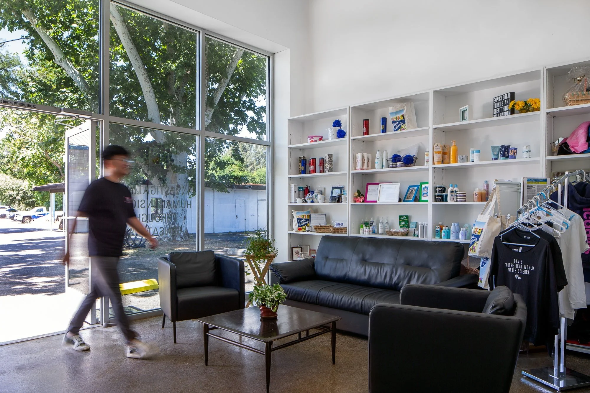 Wall-spanning windows and double-height ceilings bring sun and light into the social areas.
