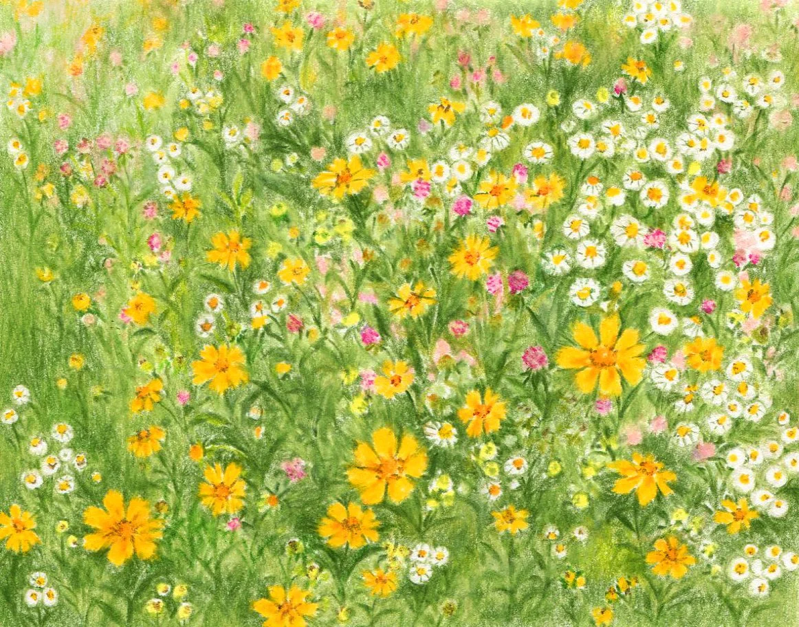 Summer Meadow