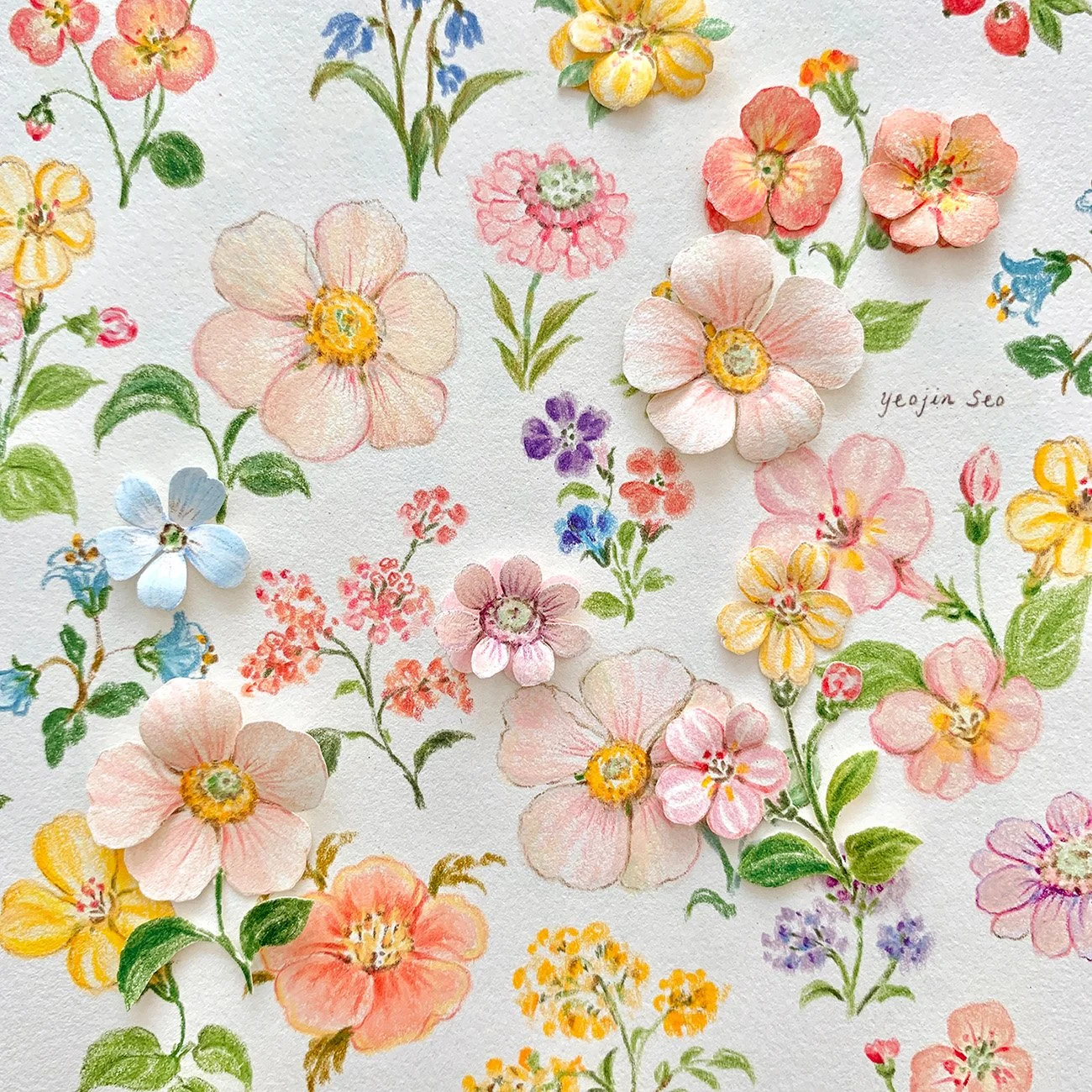 Floral Collection