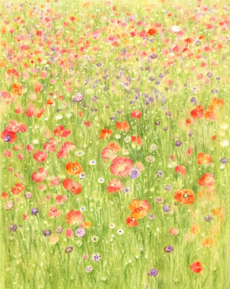In the Poppy Field