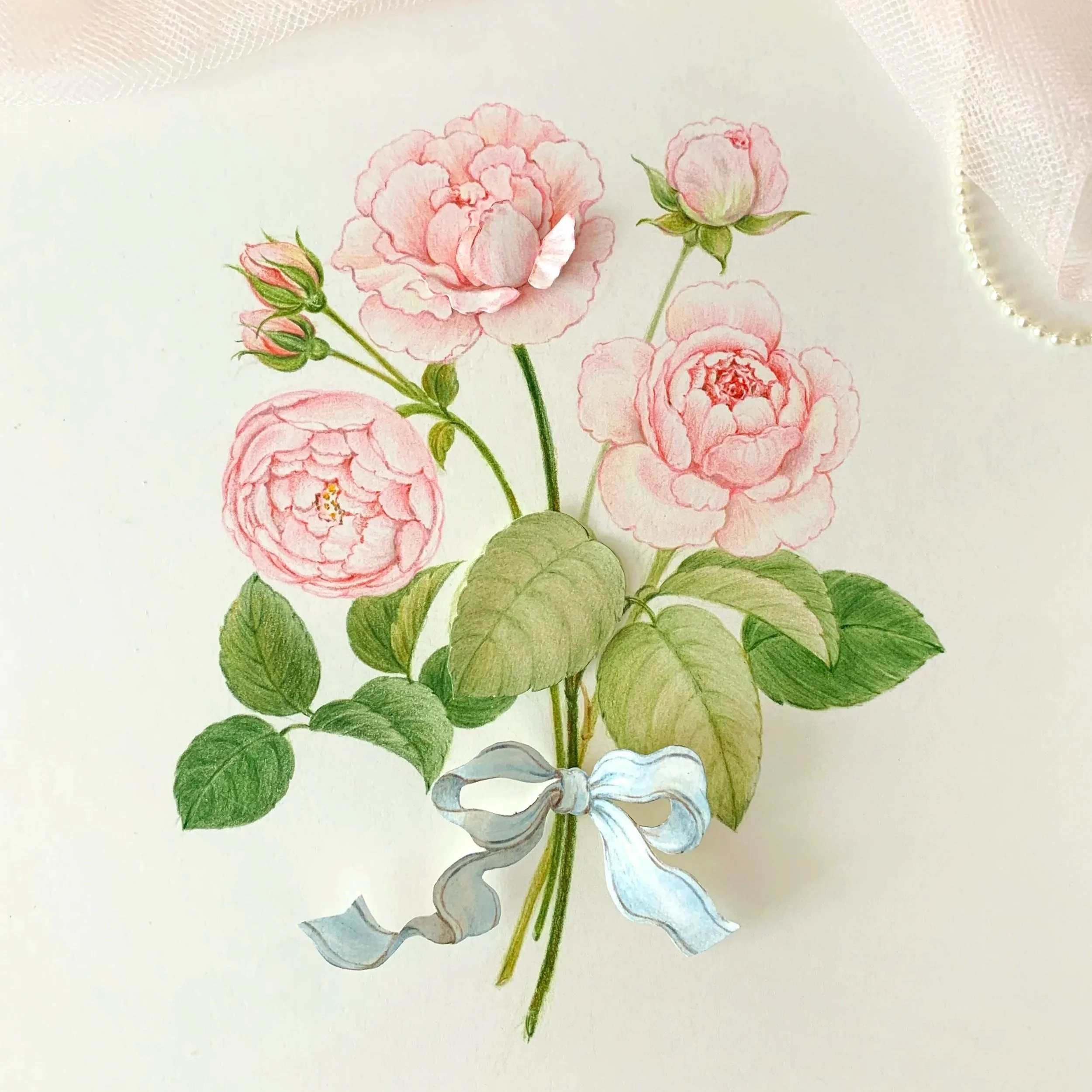 Garden Roses