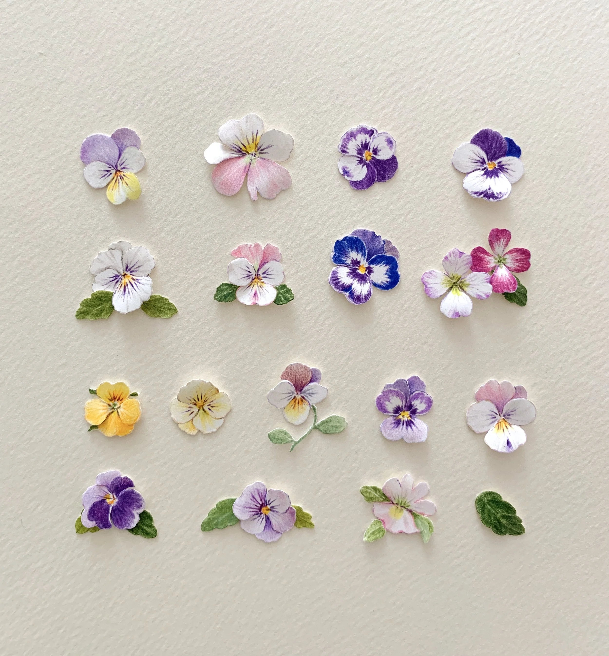 Inspiration-Pansy2.jpeg