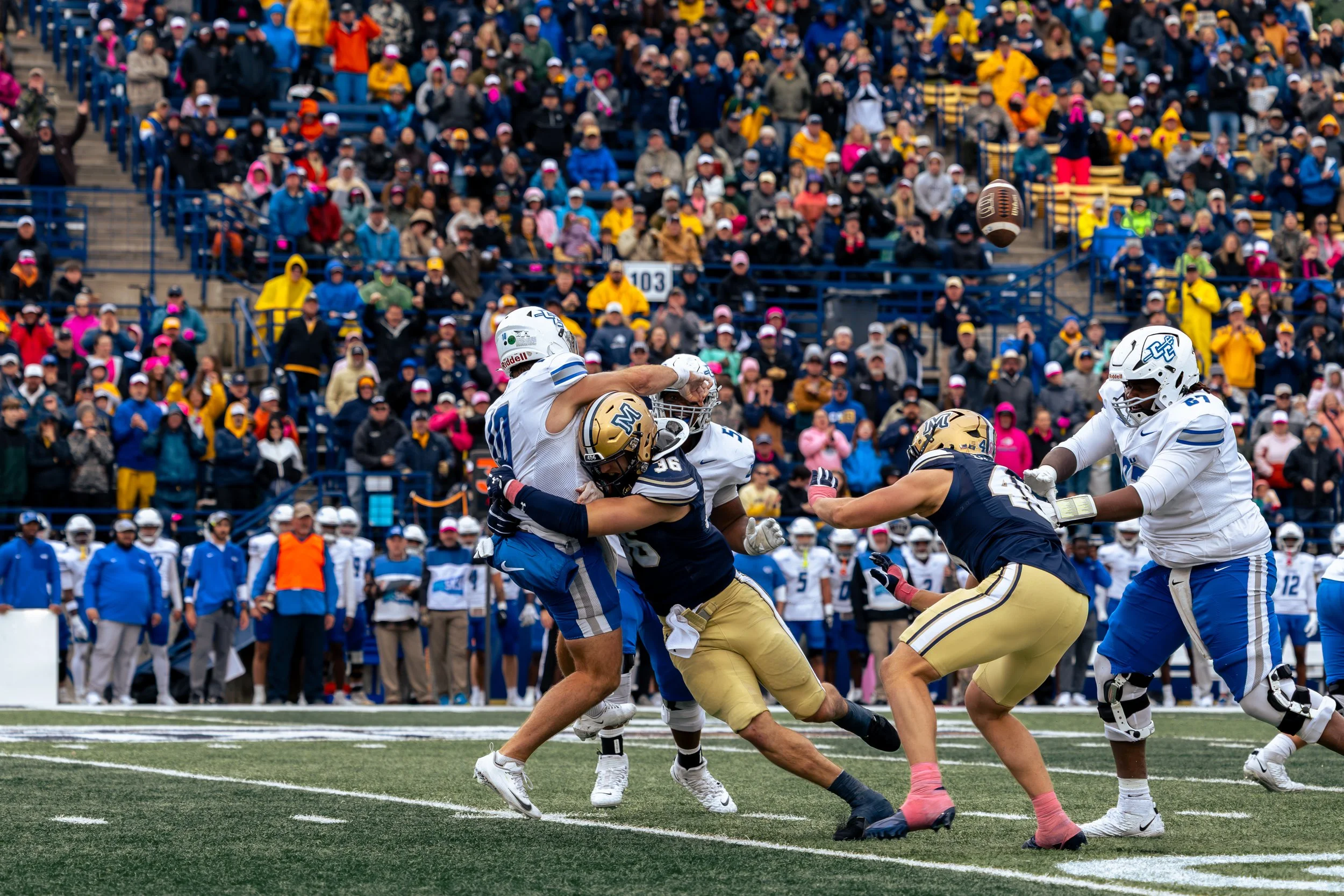 abbiekayphotography-CatsvsCCSU-41.jpg