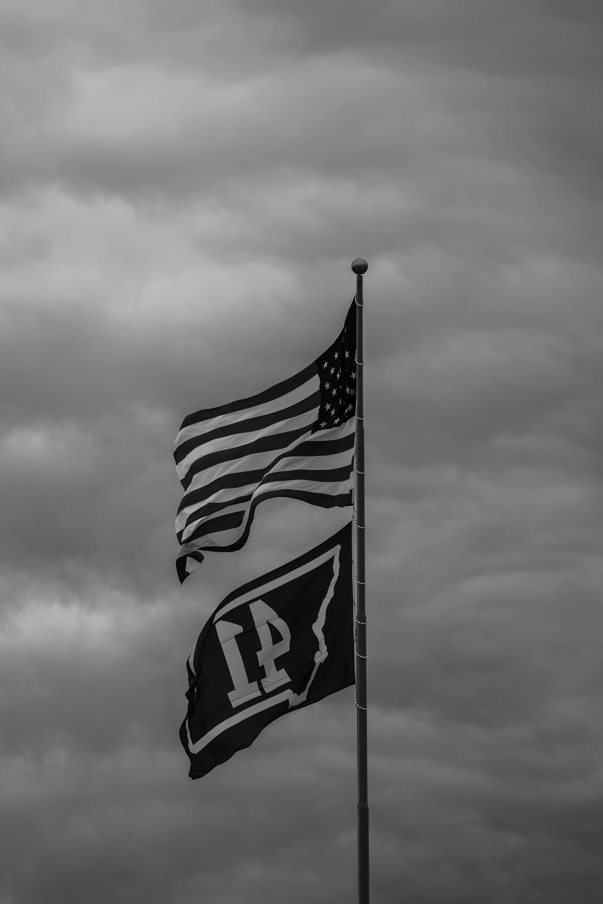 abbiekayphotography-CatsvsCCSU-46.jpg