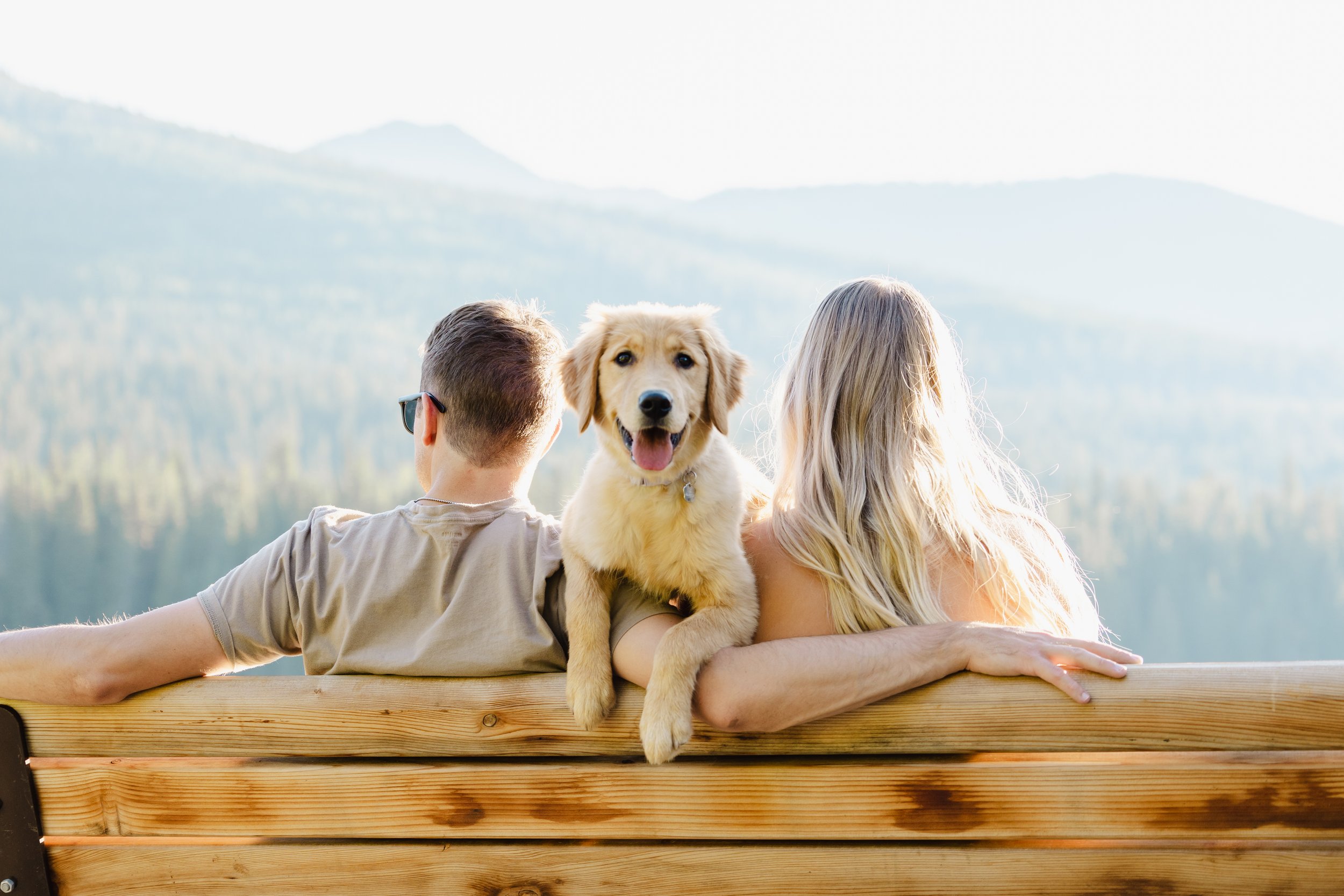 family photos