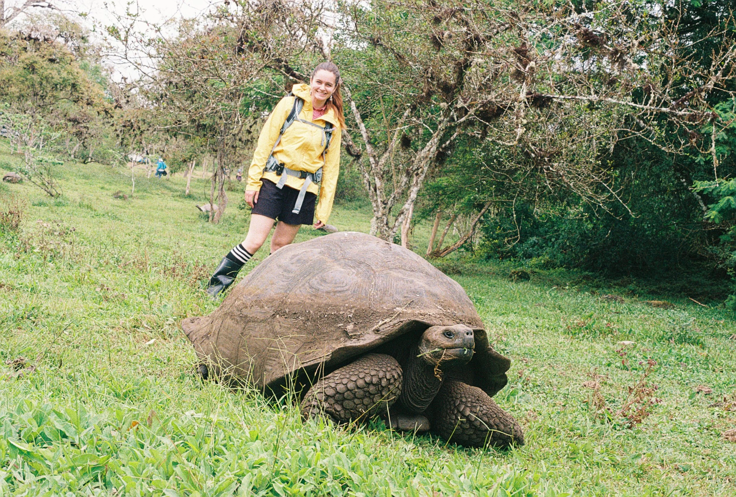 2025-12-18 09-04-35 - R1-09704-0015.JPG